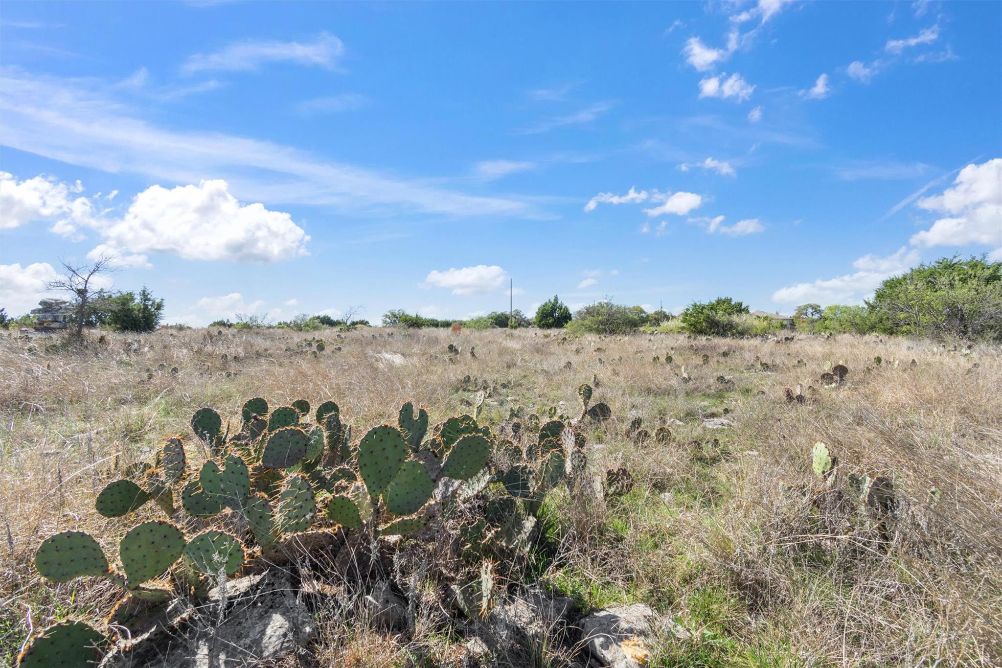 Lot 65 Three Creeks Dr, Bertram, TX 78605