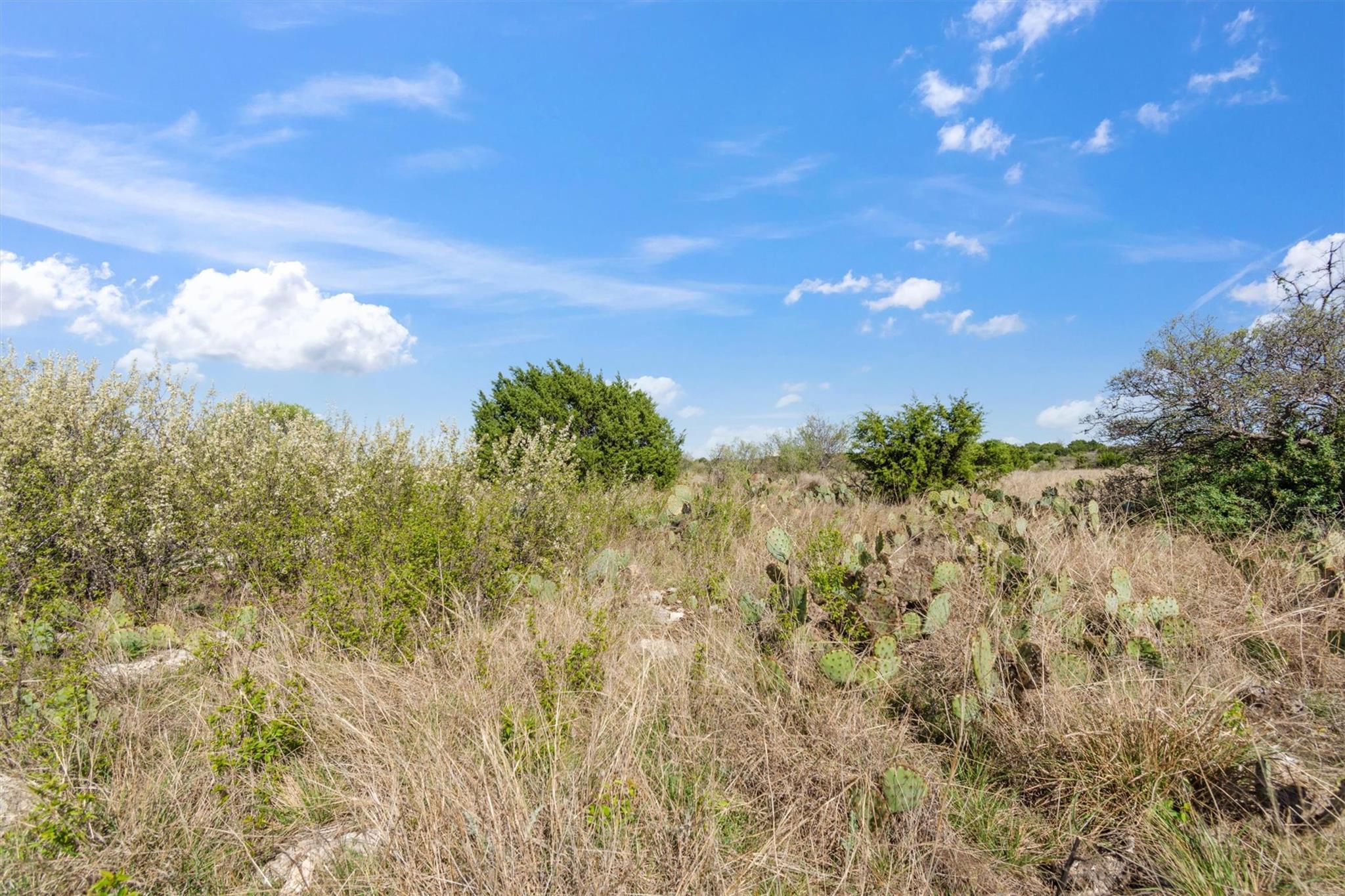 Lot 65 Three Creeks Dr, Bertram, TX 78605