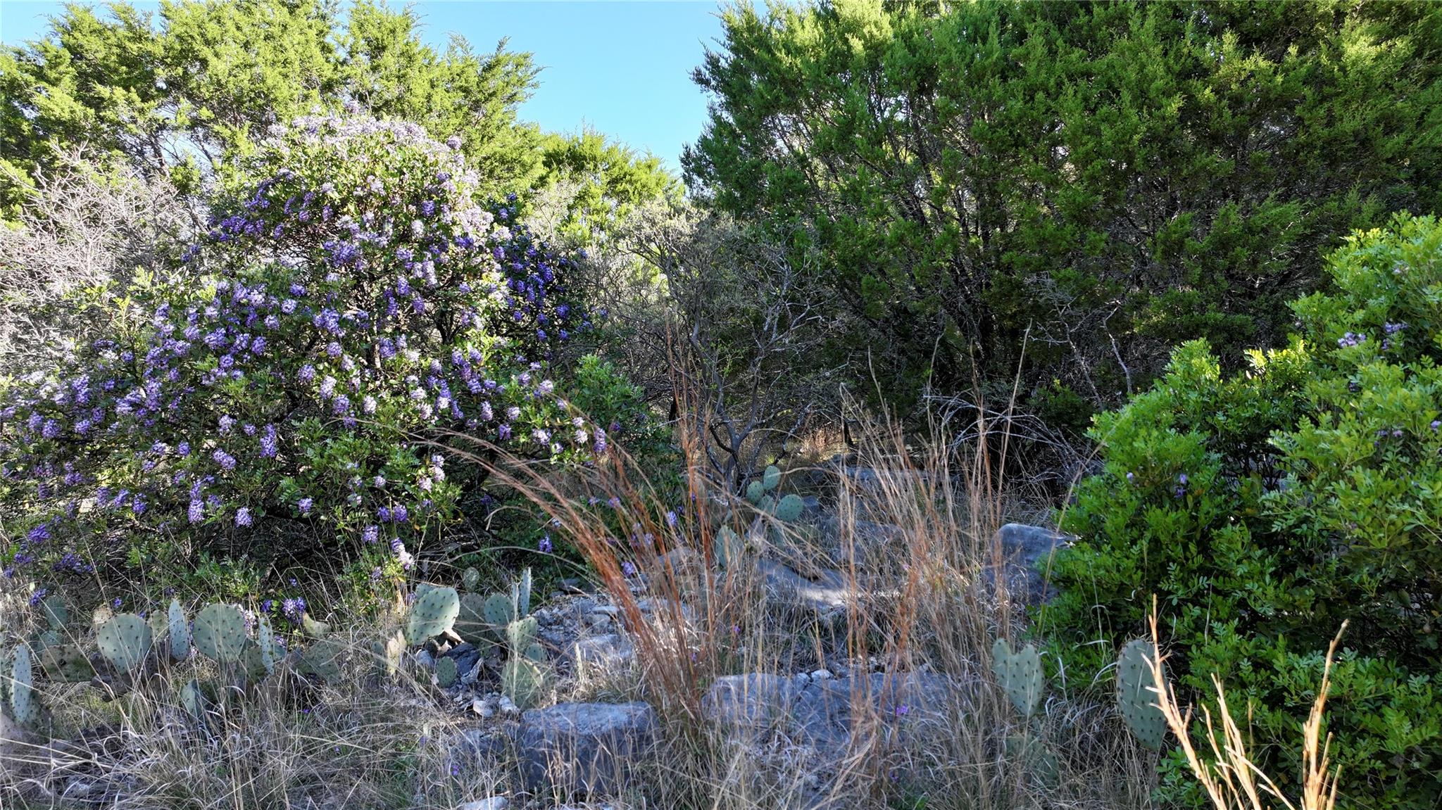 754 Park Rd, Lampasas, TX 76550