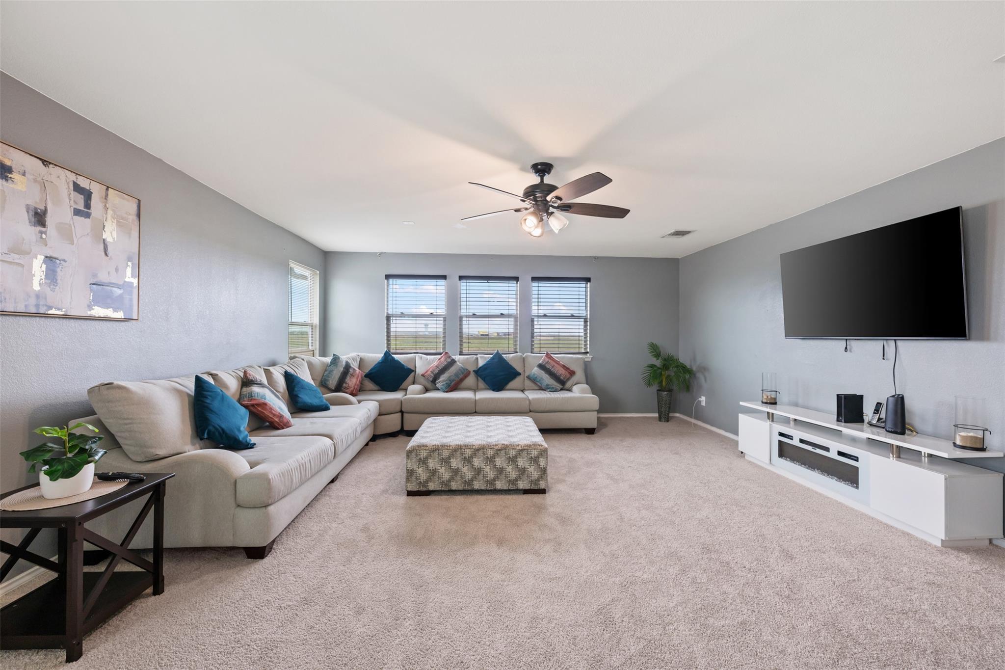 316 Carrington St, Hutto, TX 78634