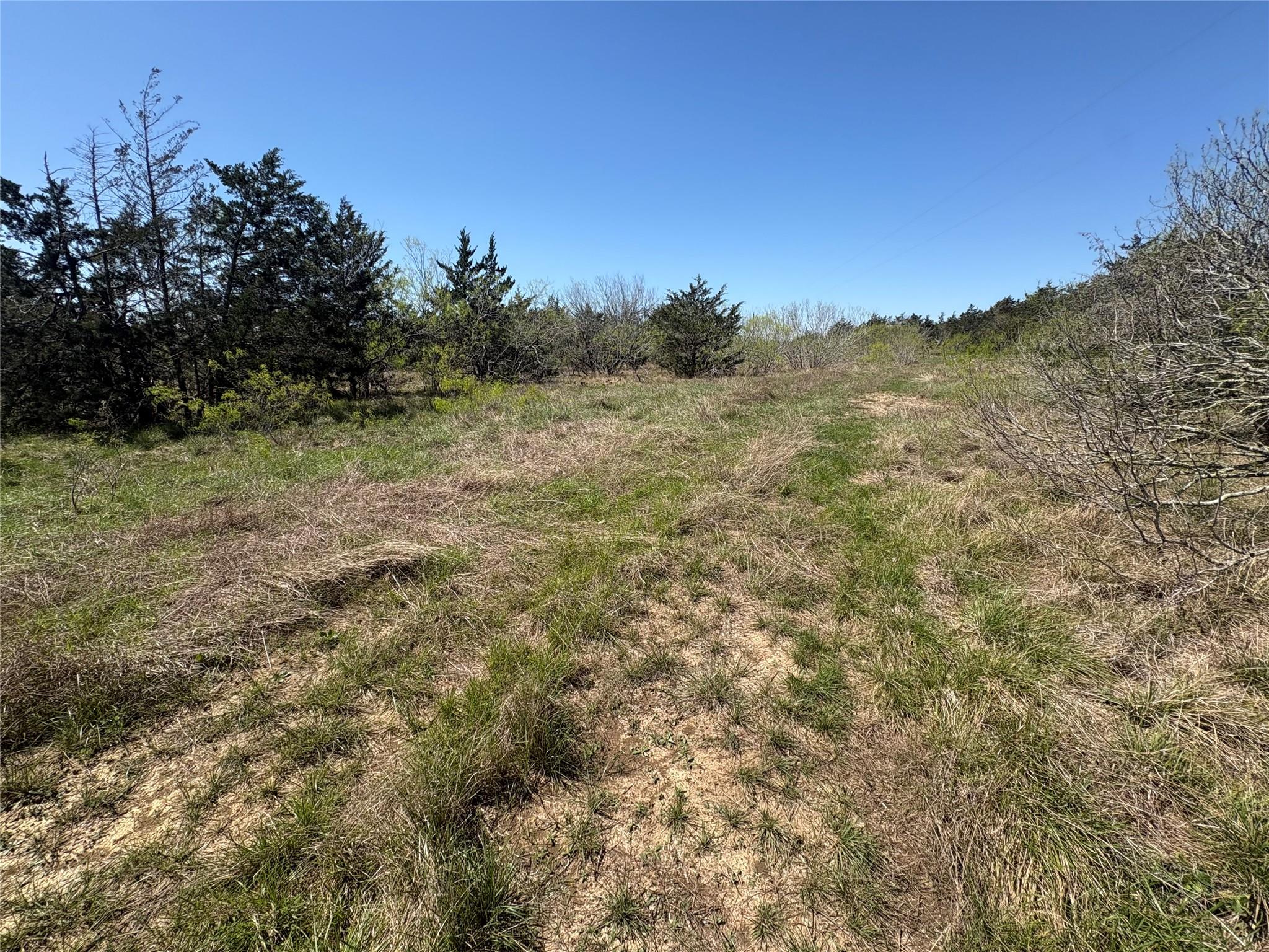 TBD Patterson Rd, Flatonia, TX 78941