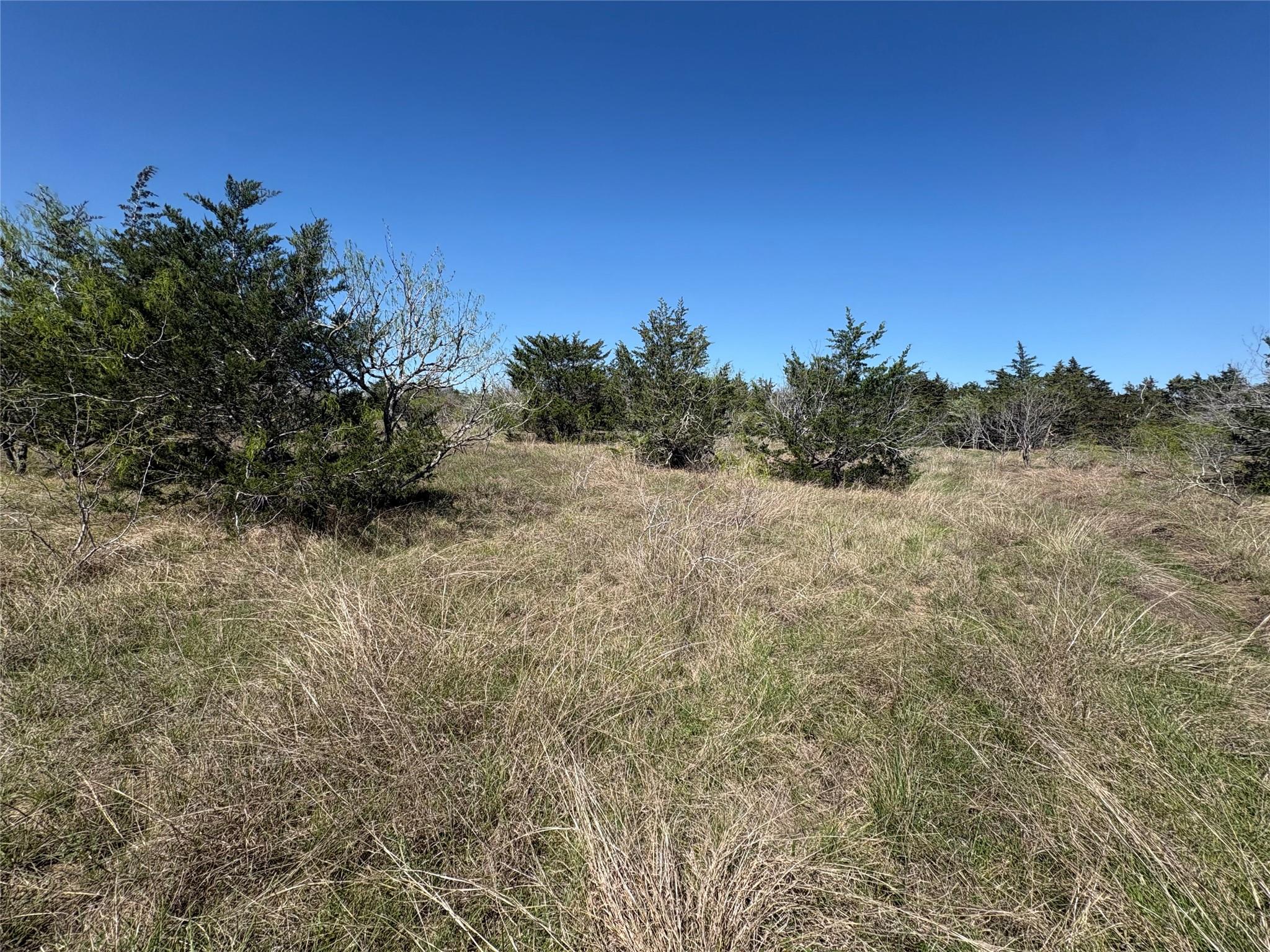 TBD Patterson Rd, Flatonia, TX 78941
