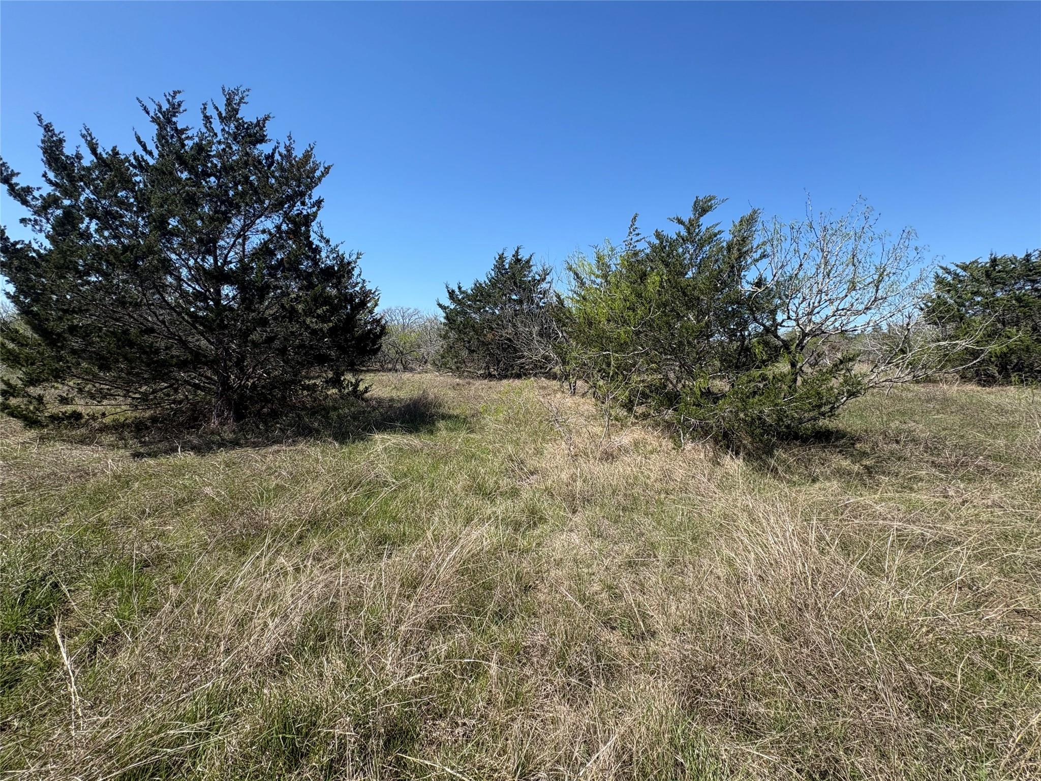 TBD Patterson Rd, Flatonia, TX 78941