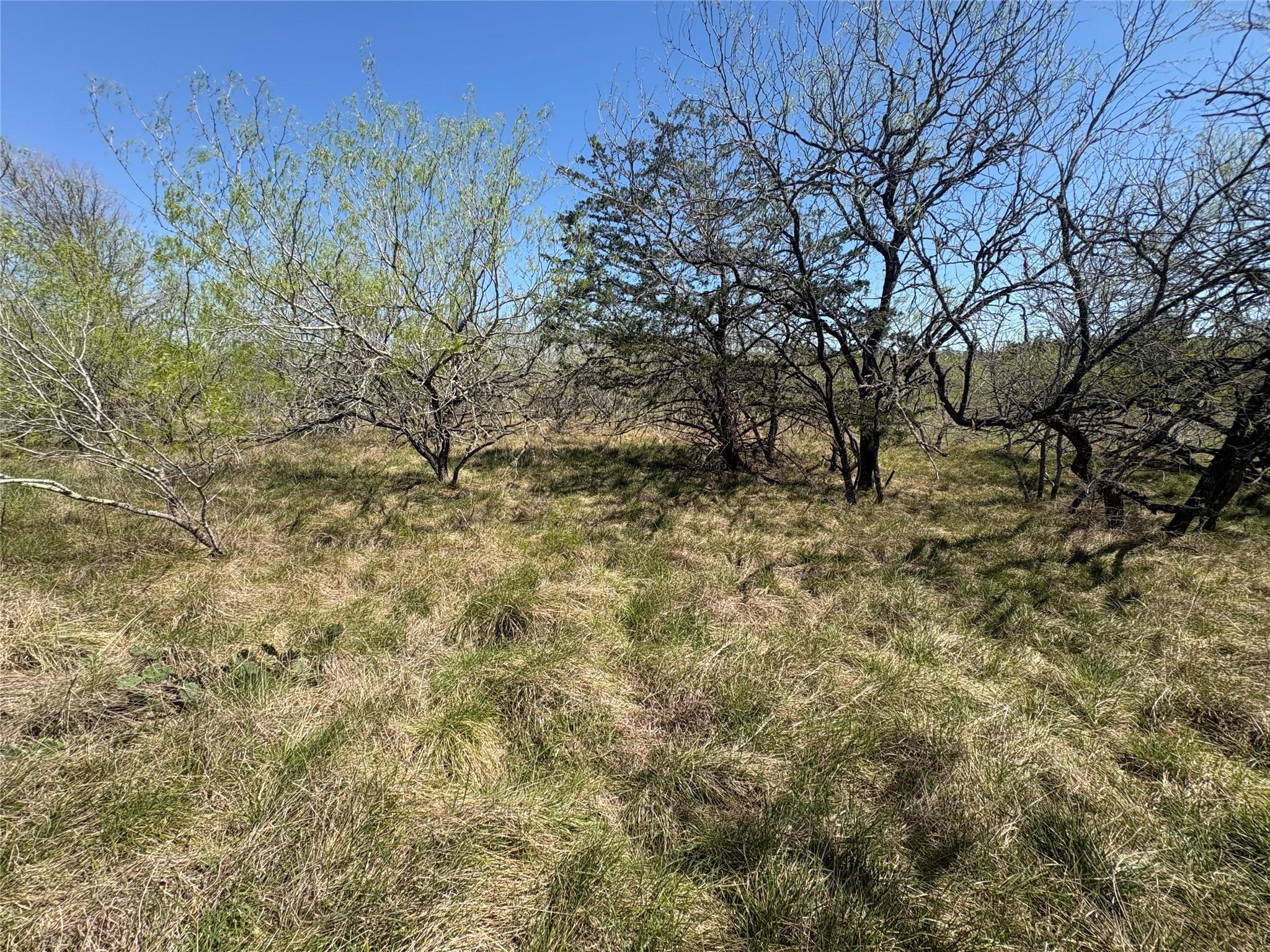 TBD Patterson Rd, Flatonia, TX 78941