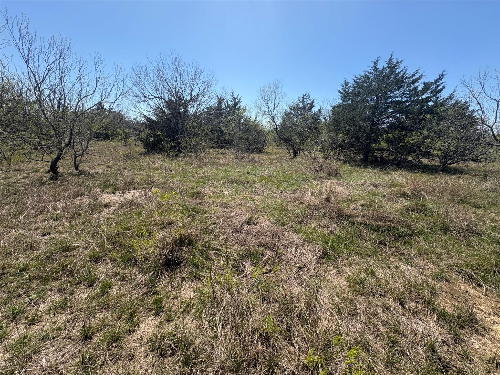 TBD Patterson Rd, Flatonia, TX 78941