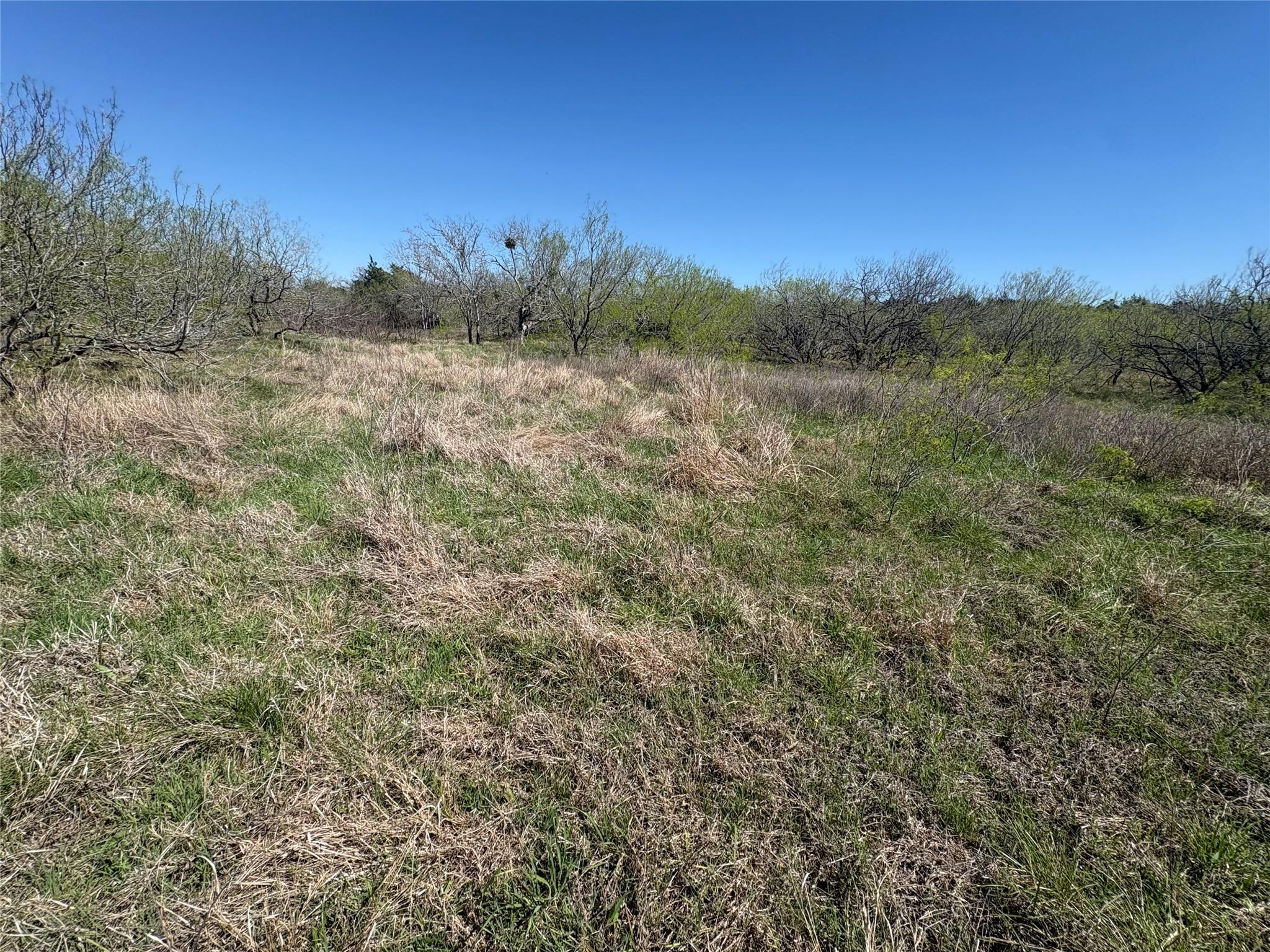 TBD Patterson Rd, Flatonia, TX 78941