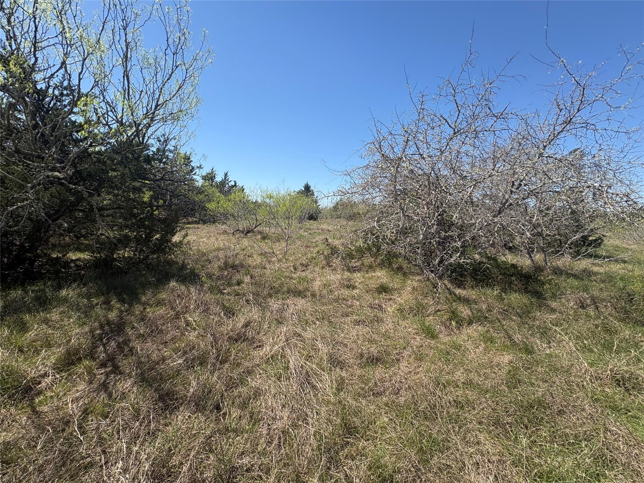 TBD Patterson Rd, Flatonia, TX 78941