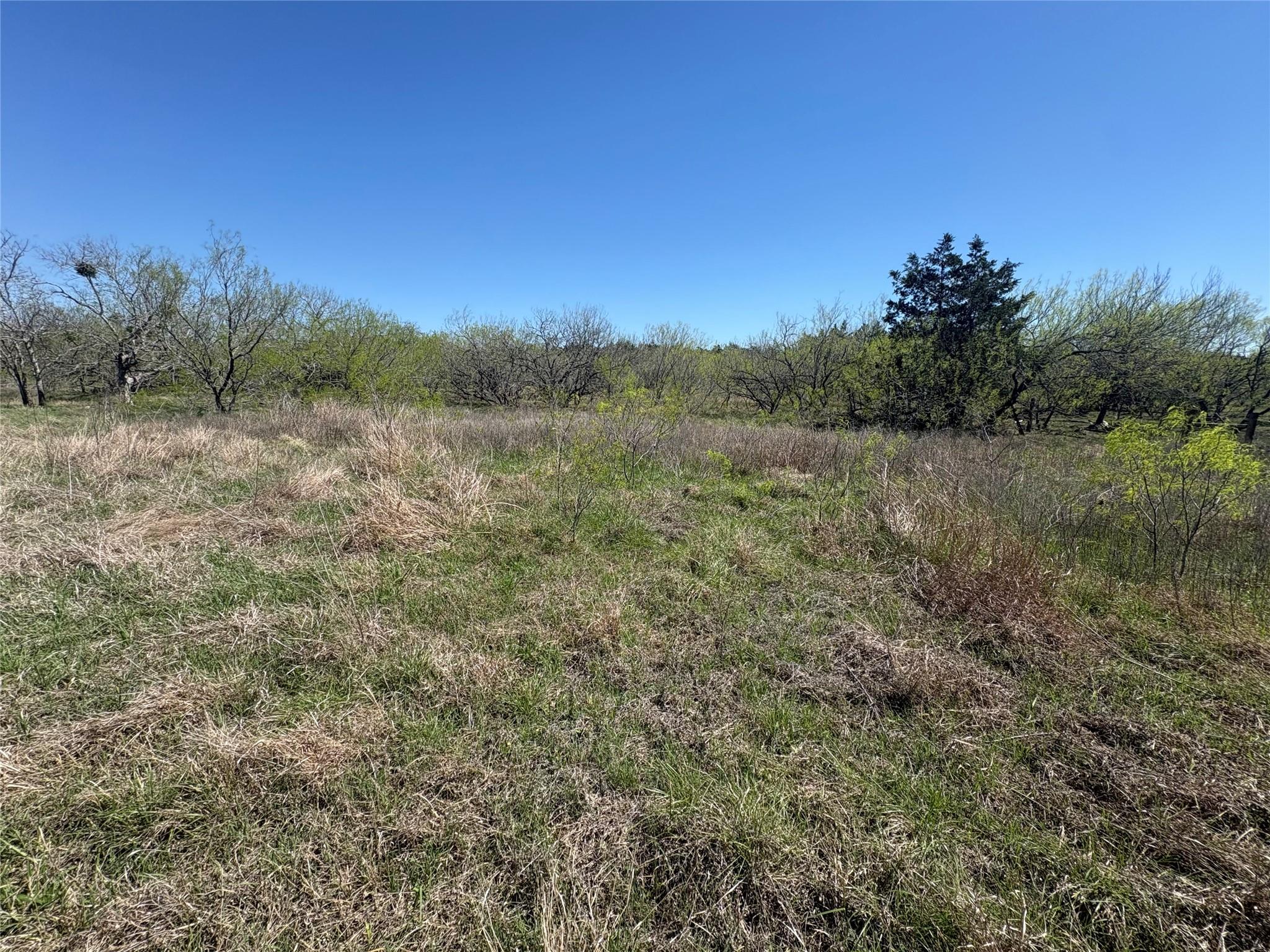 TBD Patterson Rd, Flatonia, TX 78941
