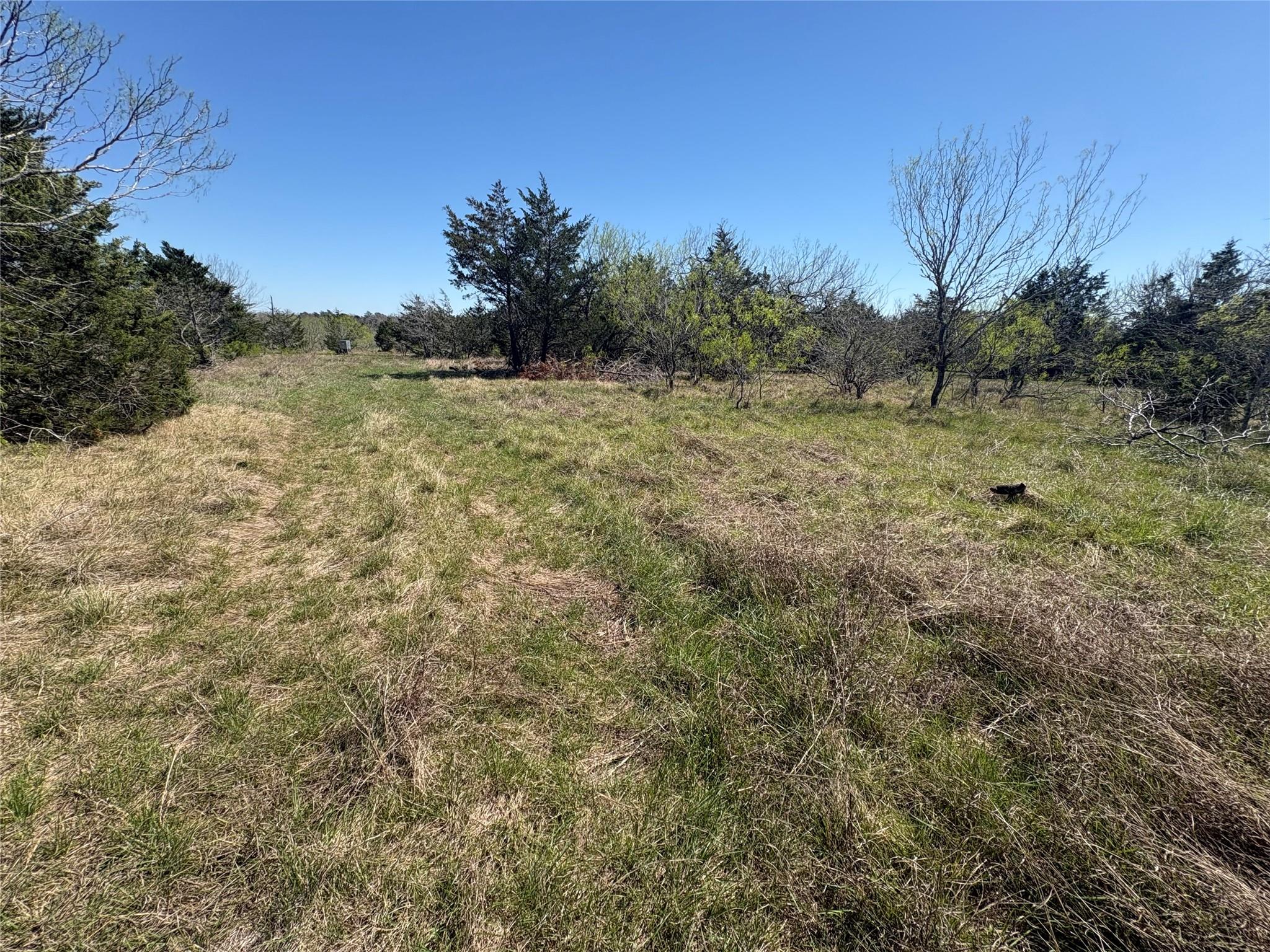 TBD Patterson Rd, Flatonia, TX 78941