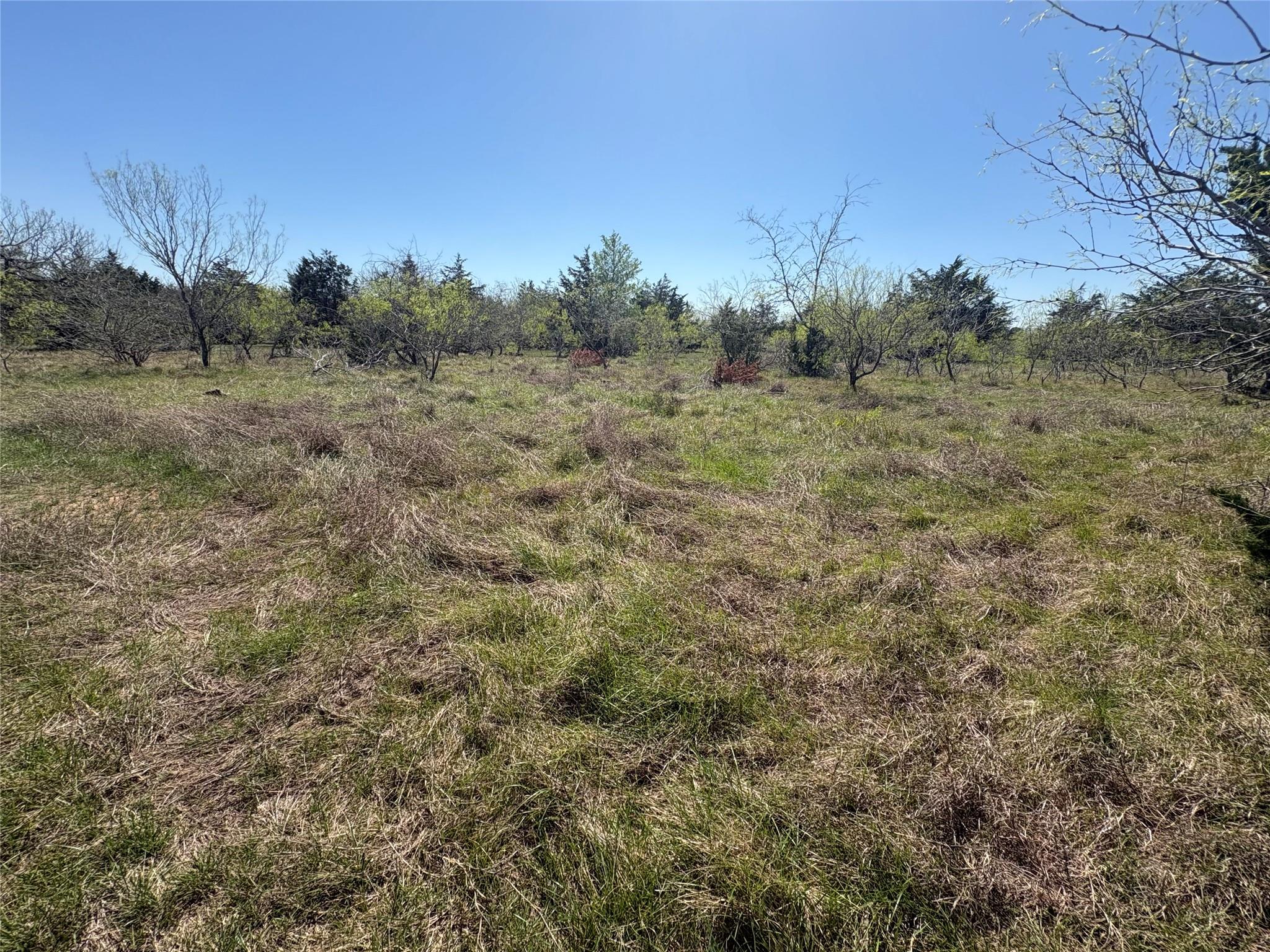 TBD Patterson Rd, Flatonia, TX 78941
