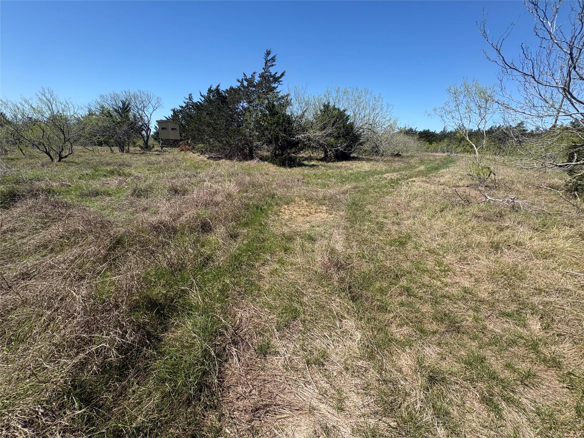 TBD Patterson Rd, Flatonia, TX 78941