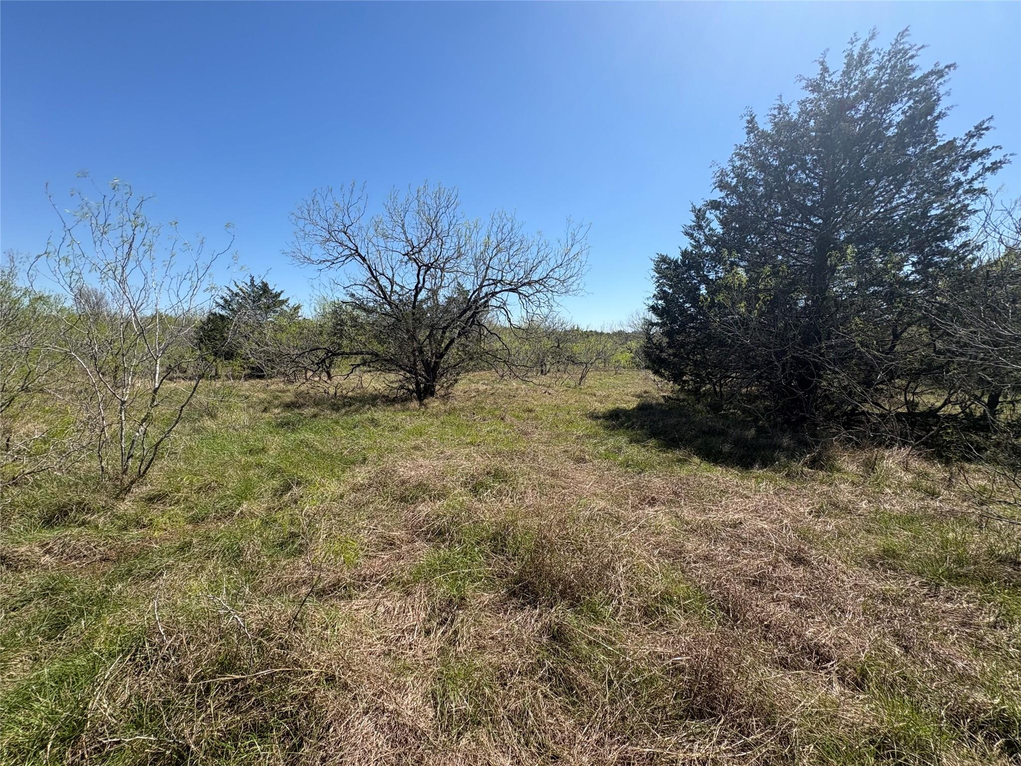 TBD Patterson Rd, Flatonia, TX 78941