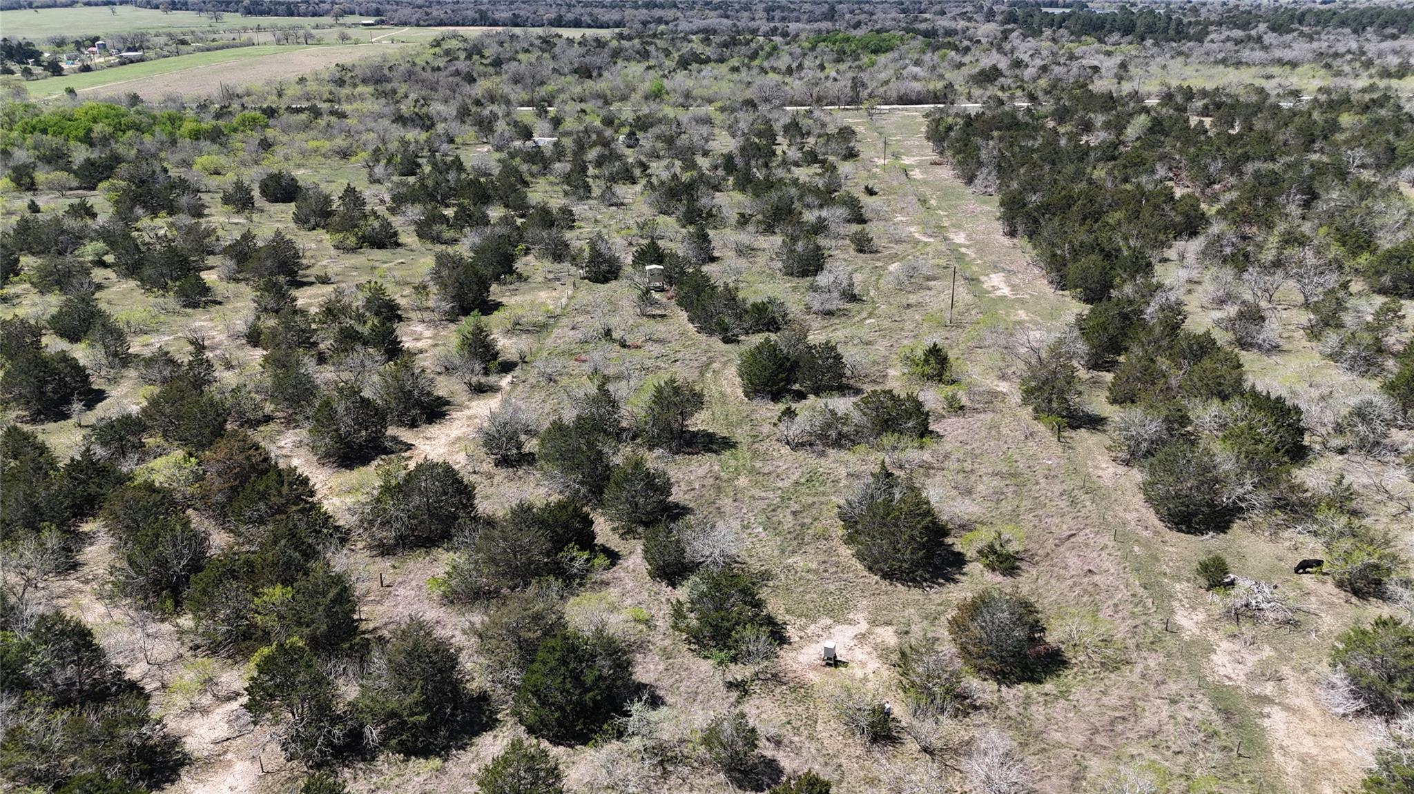 TBD Patterson Rd, Flatonia, TX 78941