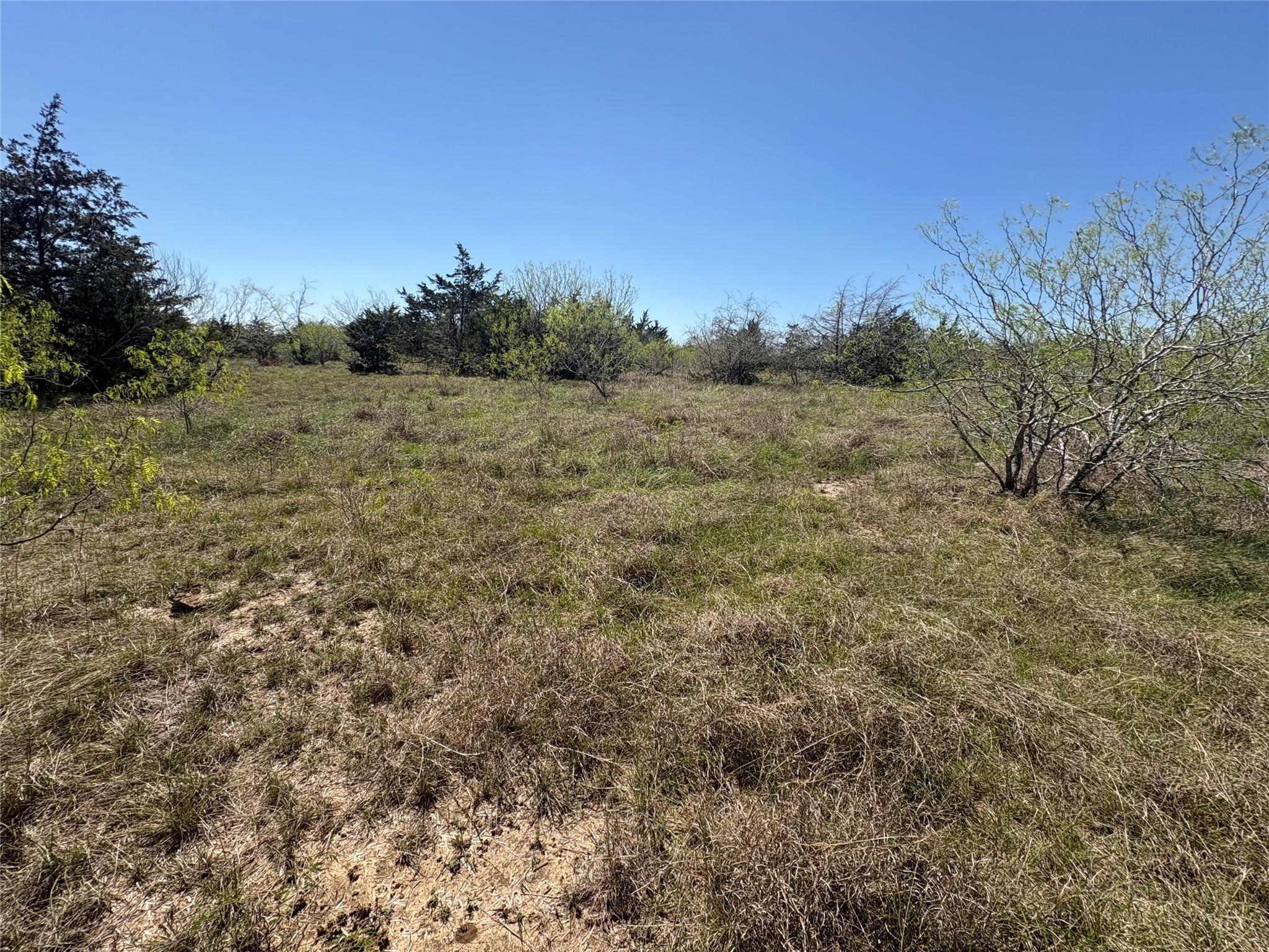 TBD Patterson Rd, Flatonia, TX 78941