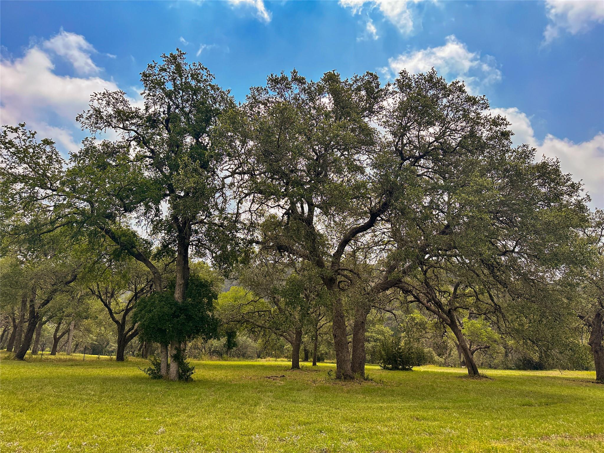 3310 Fm 3237, Wimberley, TX 78676