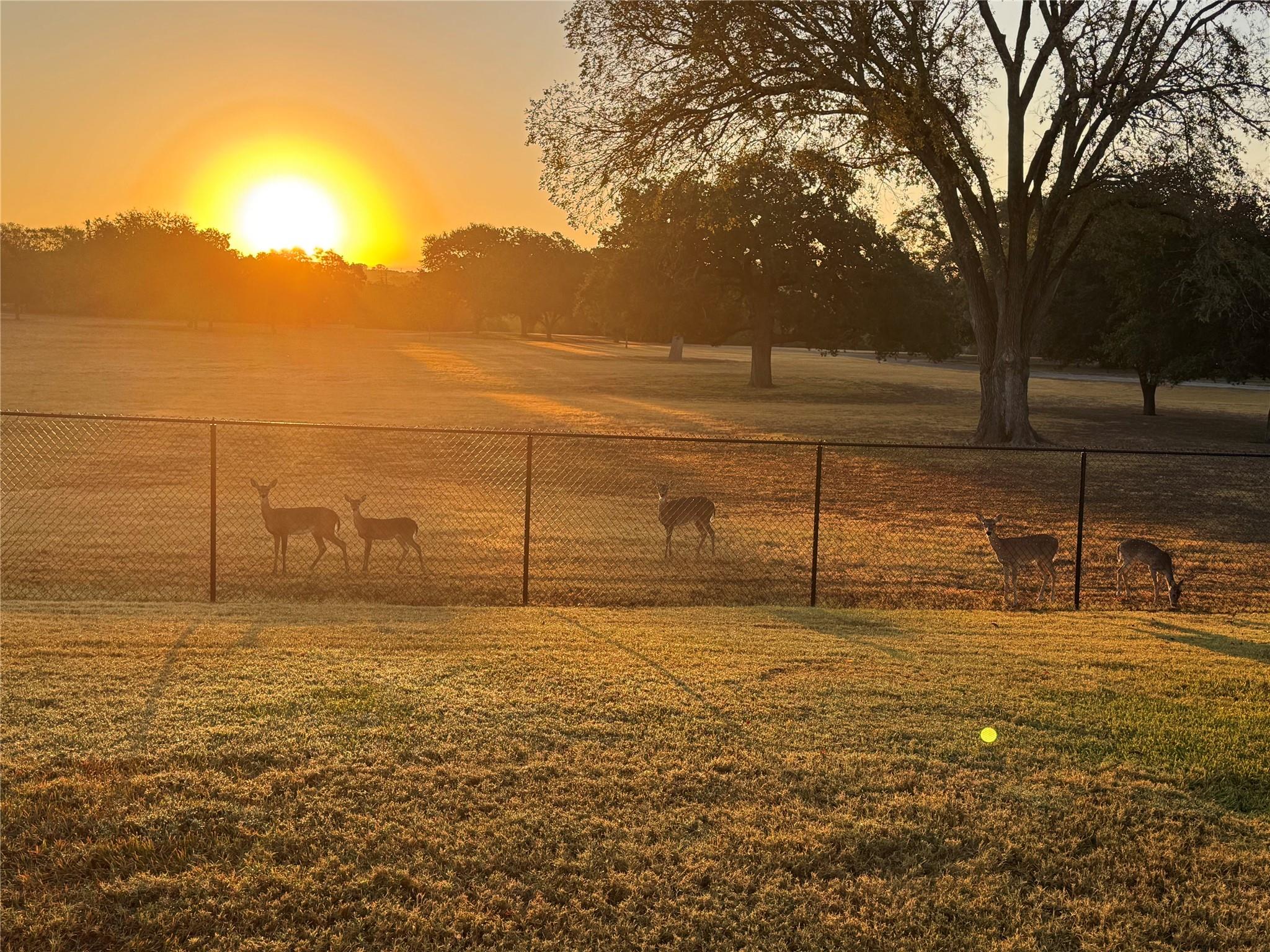 317 Home Place Ln, Salado, TX 76571