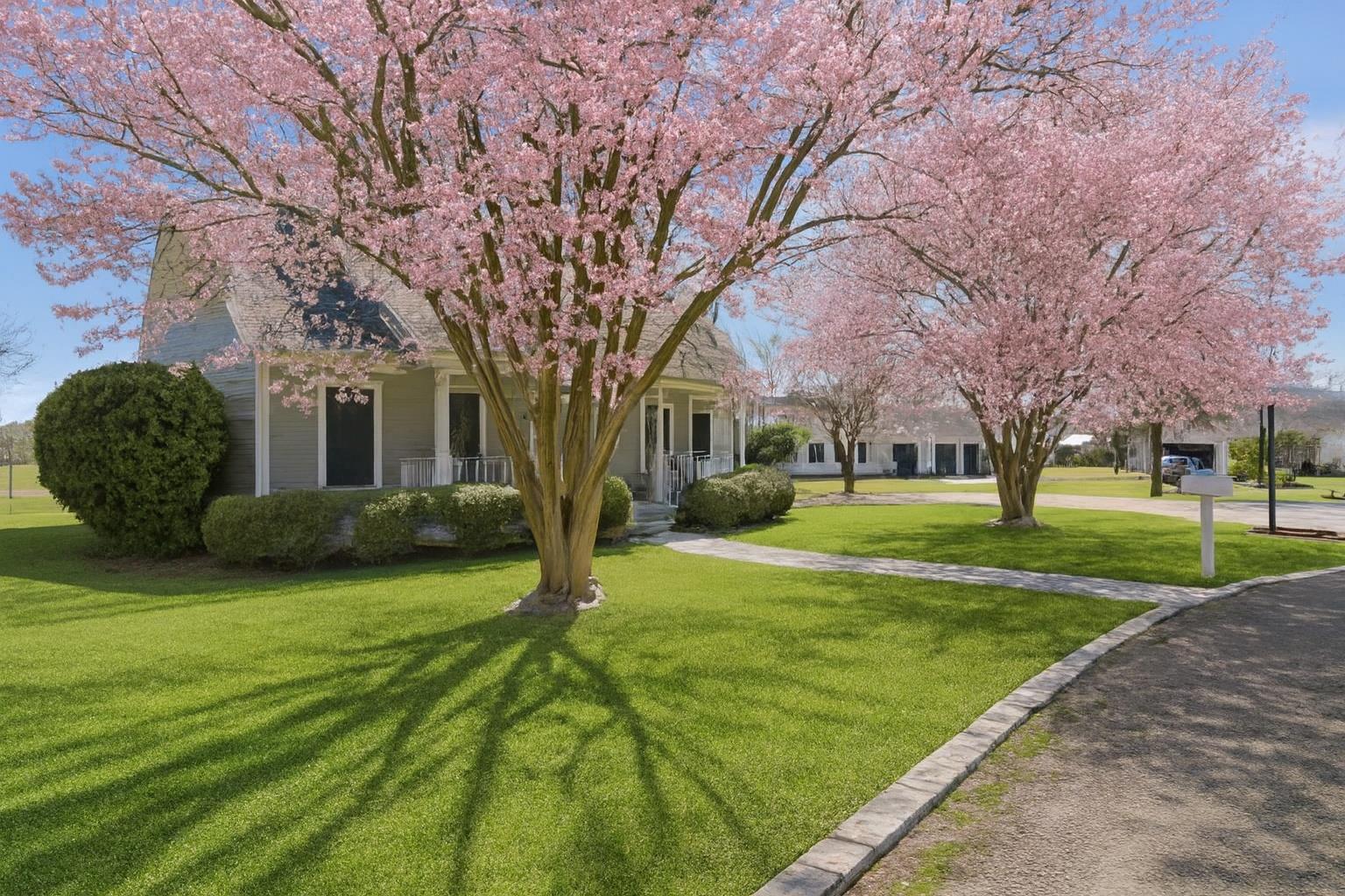 317 Home Place Ln, Salado, TX 76571