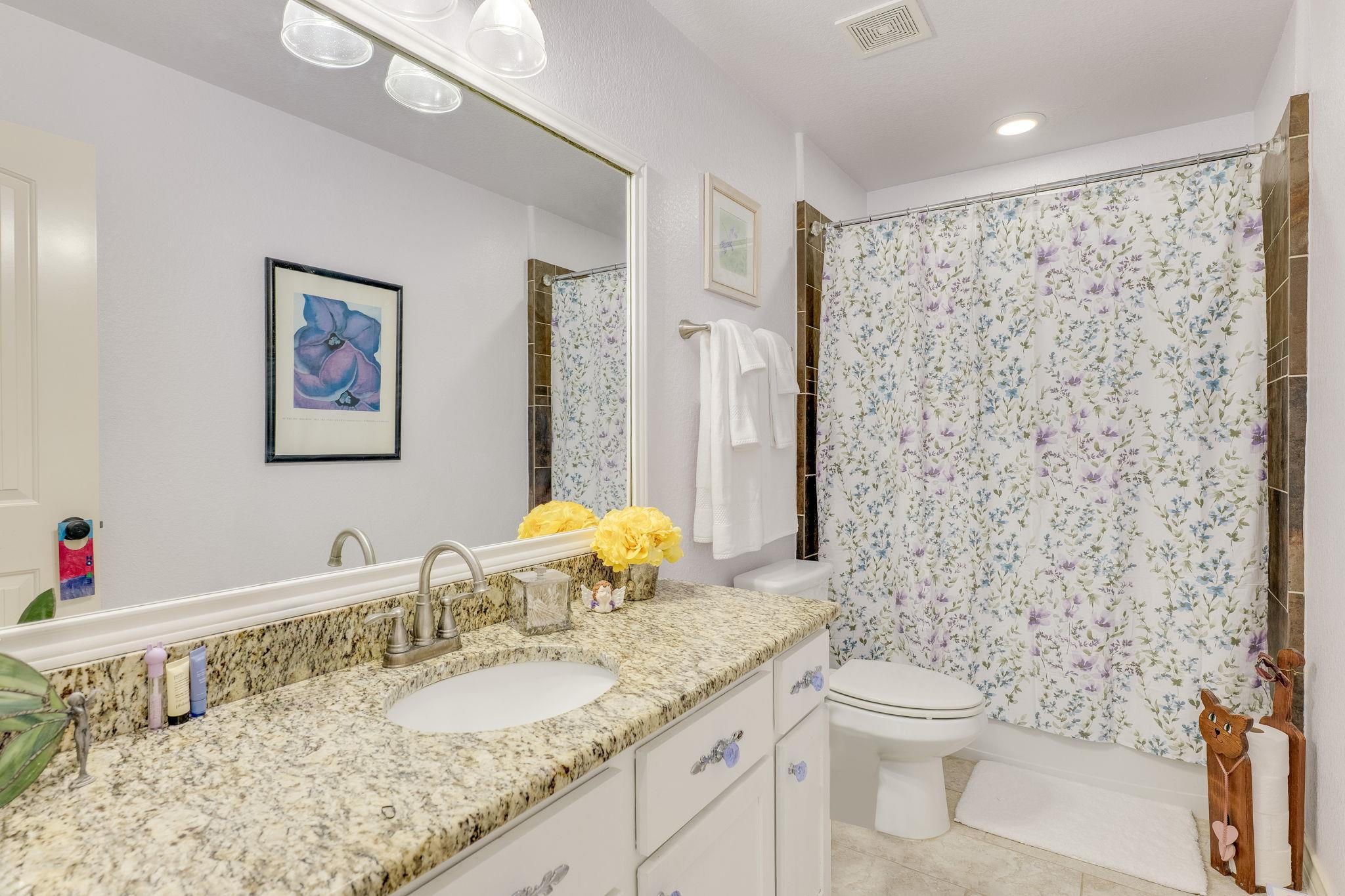 17517 Panorama Dr, Dripping Springs, TX 78620