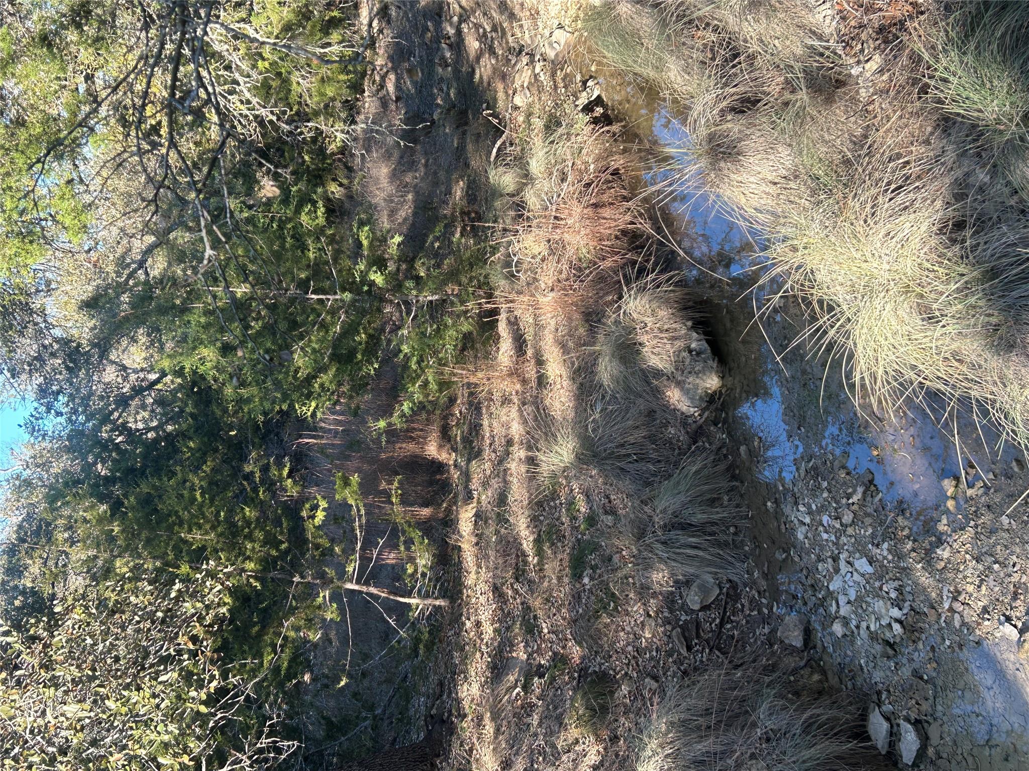 934 Beauchamp Rd, Dripping Springs, TX 78620