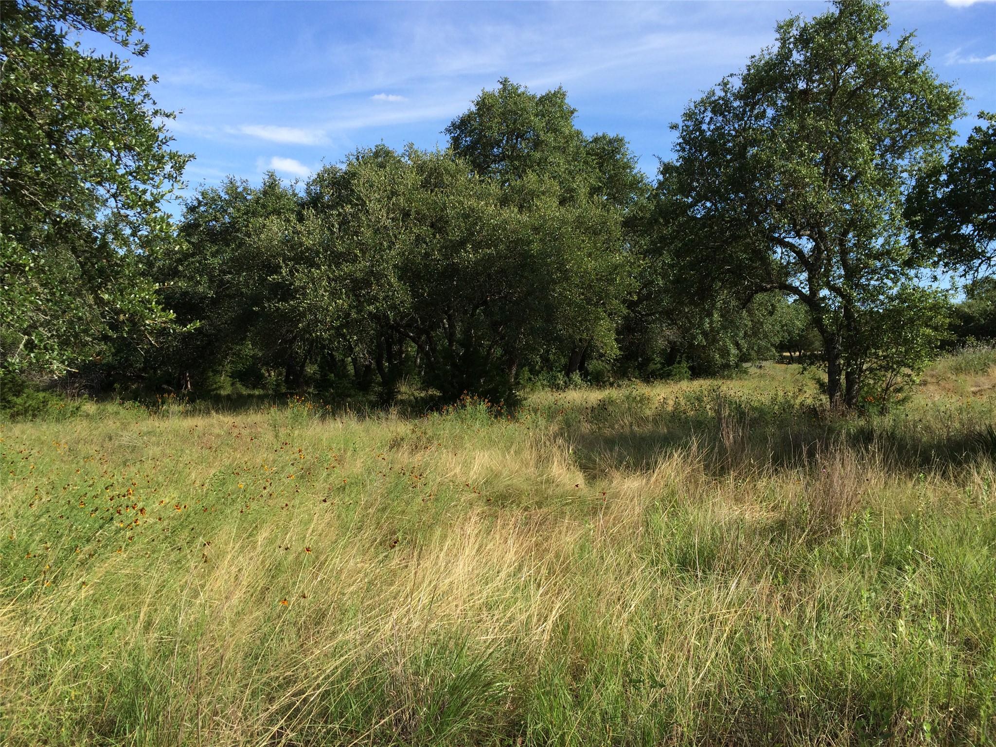 934 Beauchamp Rd, Dripping Springs, TX 78620