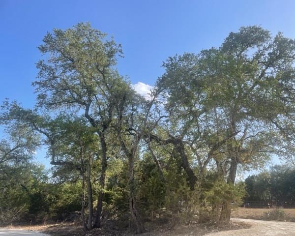 934 Beauchamp Rd, Dripping Springs, TX 78620