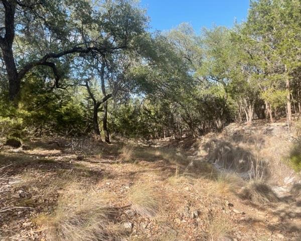 934 Beauchamp Rd, Dripping Springs, TX 78620