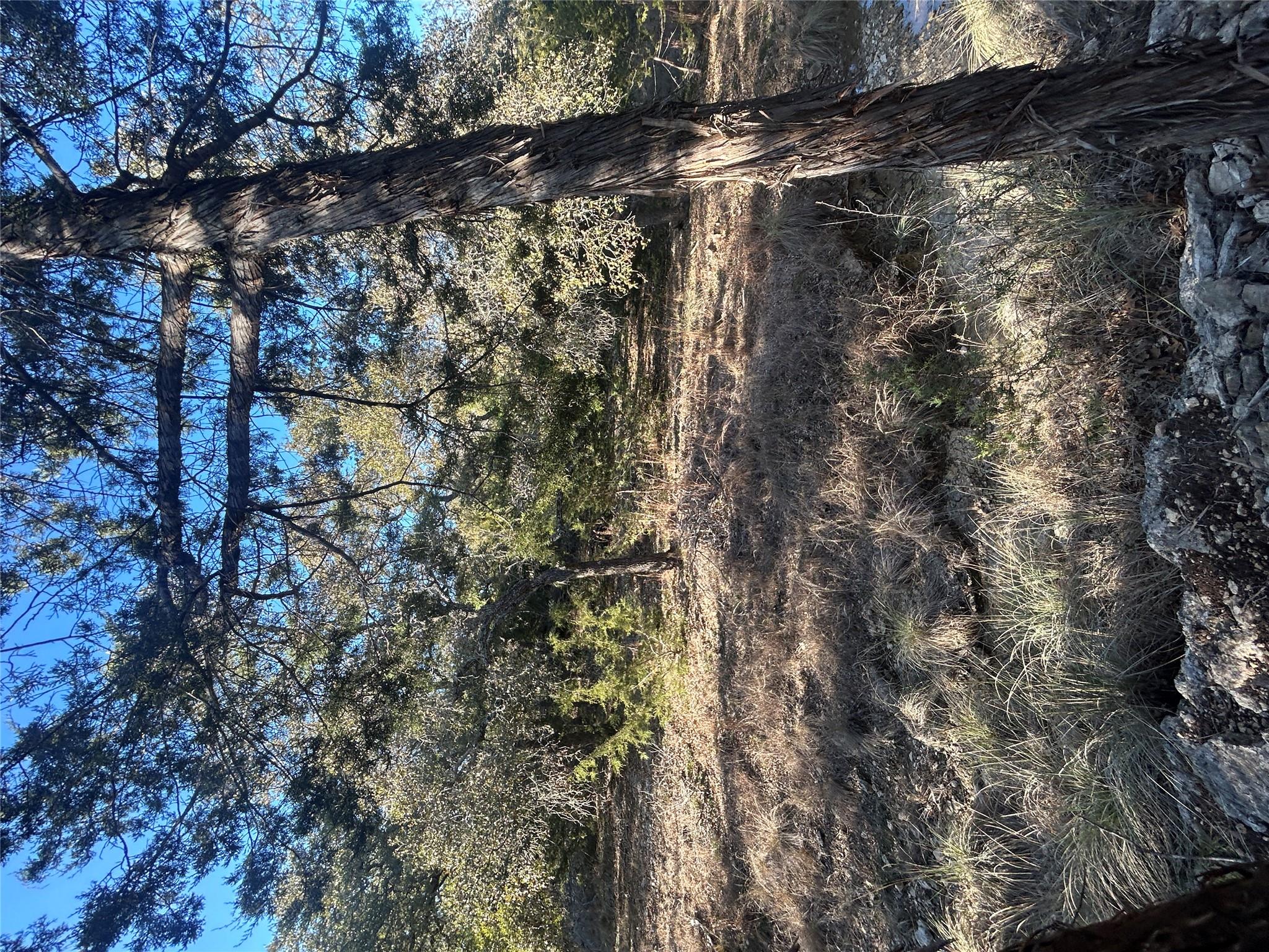 934 Beauchamp Rd, Dripping Springs, TX 78620