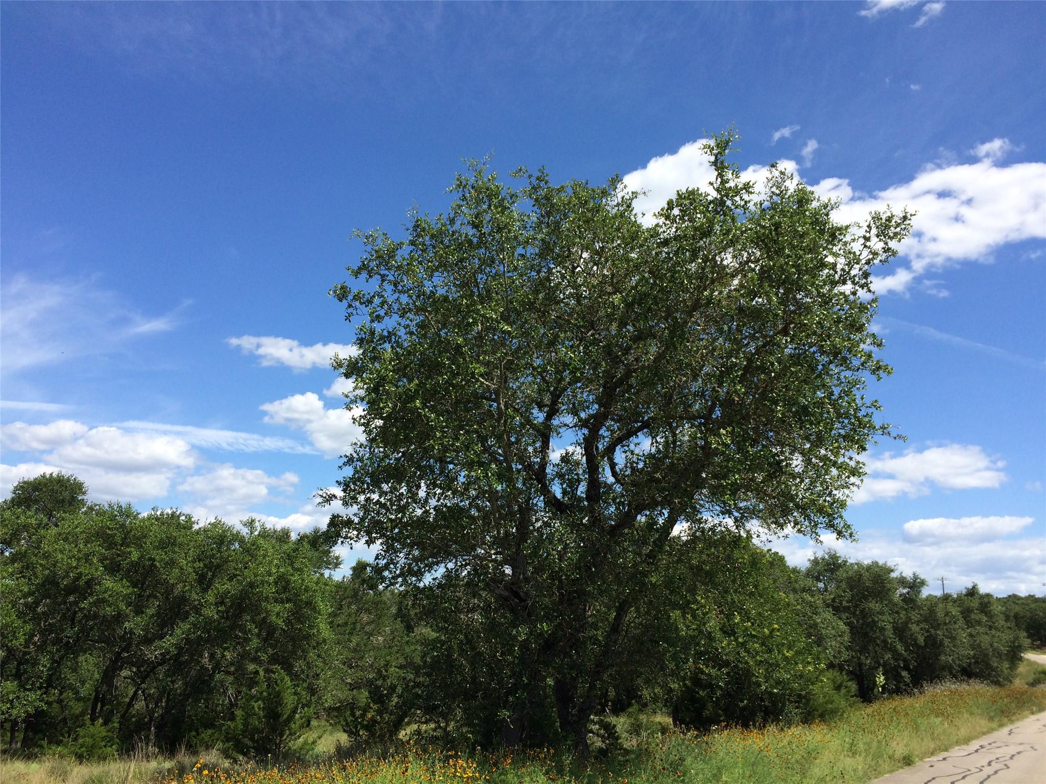 934 Beauchamp Rd, Dripping Springs, TX 78620