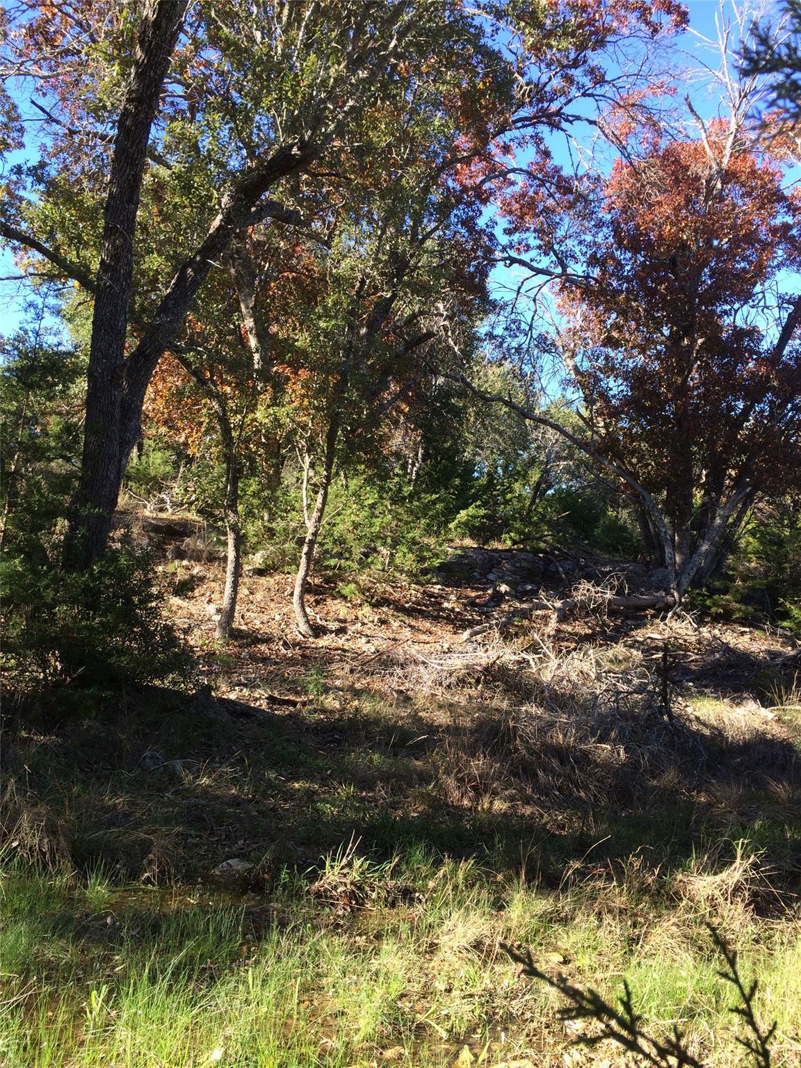 934 Beauchamp Rd, Dripping Springs, TX 78620