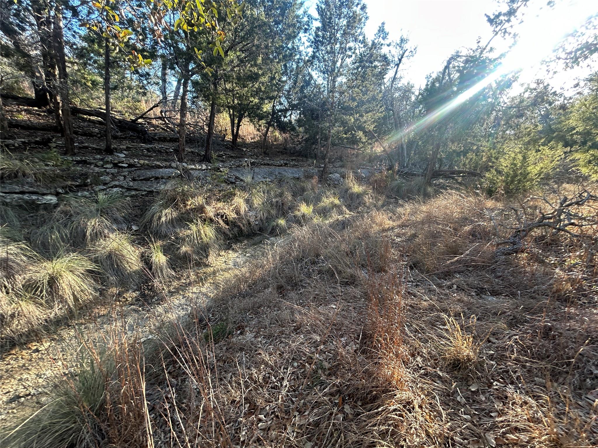 934 Beauchamp Rd, Dripping Springs, TX 78620