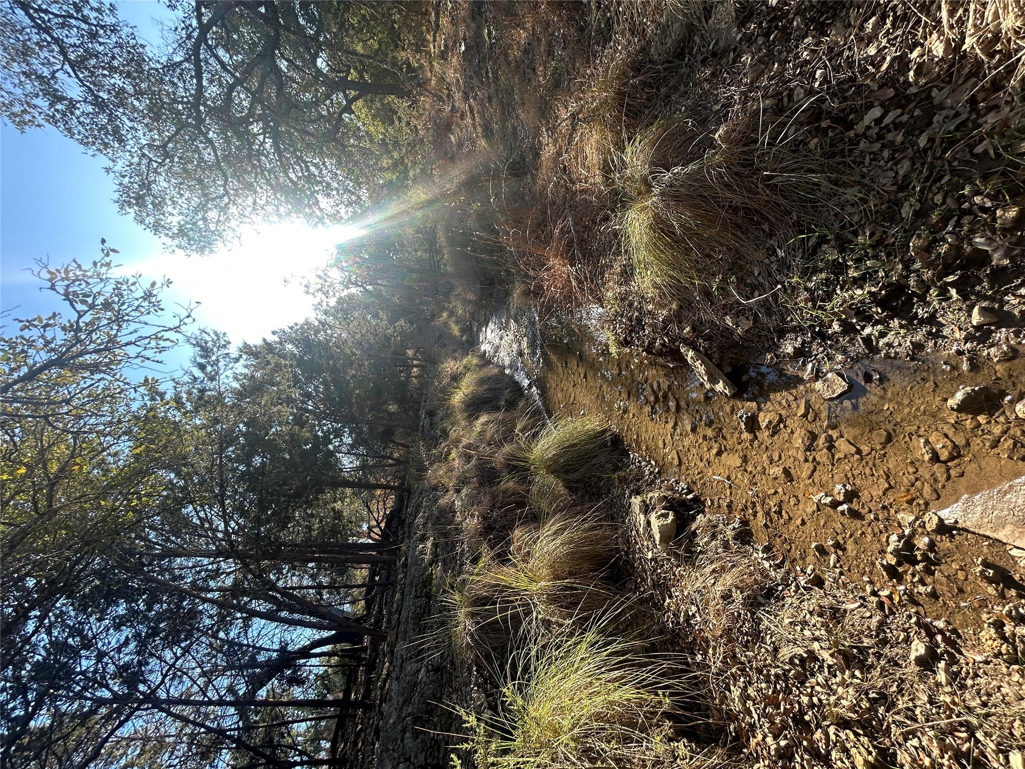 934 Beauchamp Rd, Dripping Springs, TX 78620