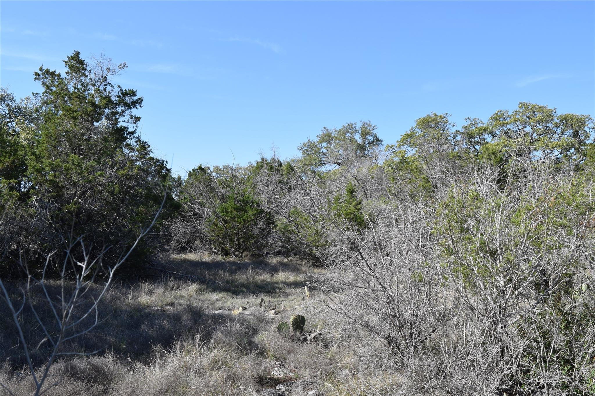 TBD Cheyenne Trl, Wimberley, TX 78676