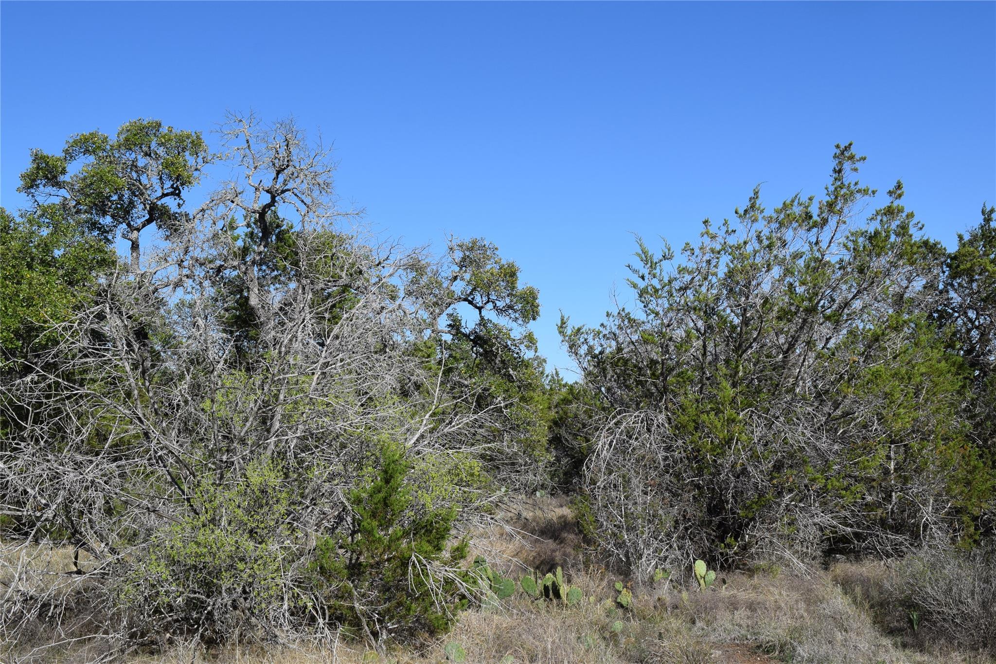 TBD Cheyenne Trl, Wimberley, TX 78676