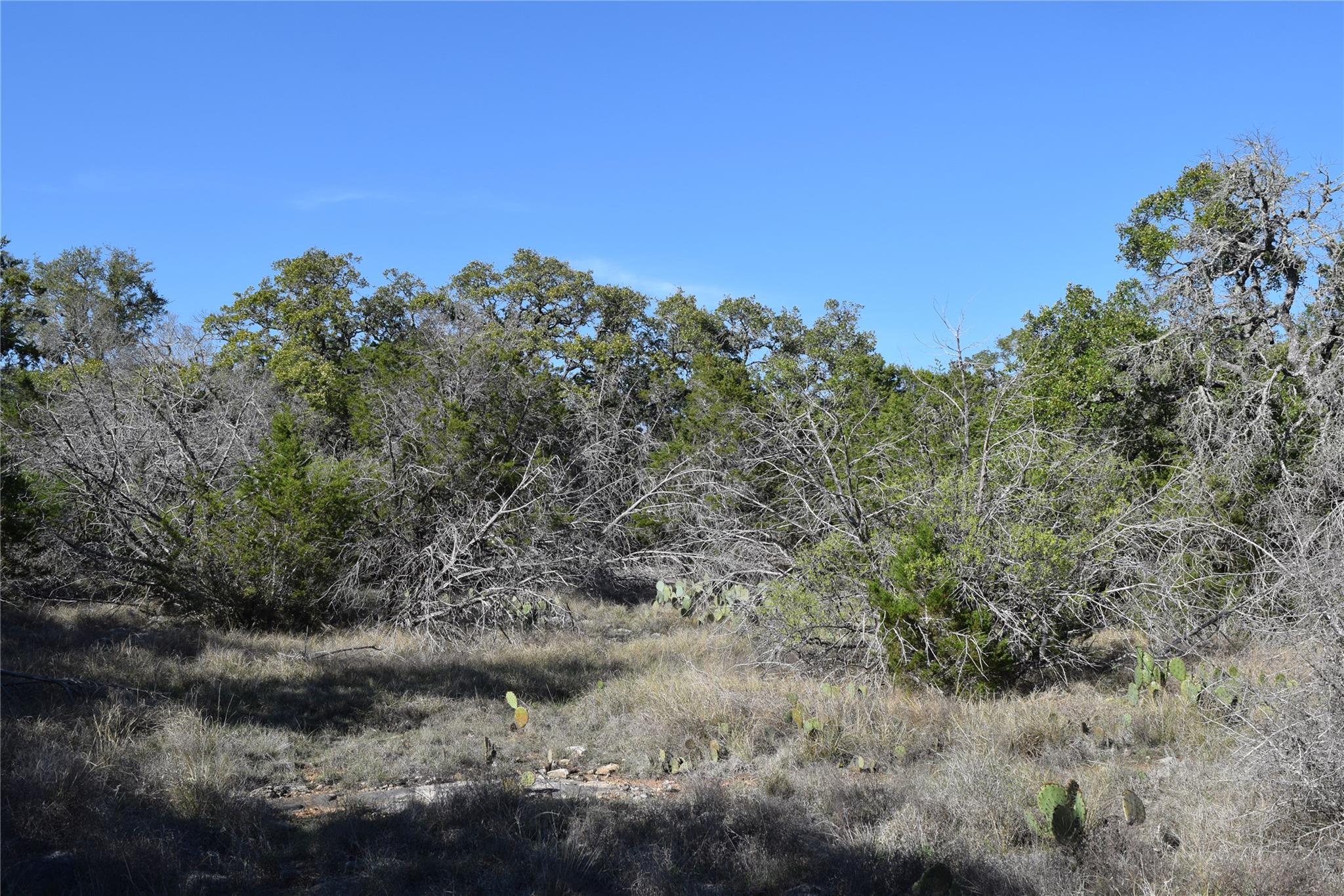 TBD Cheyenne Trl, Wimberley, TX 78676