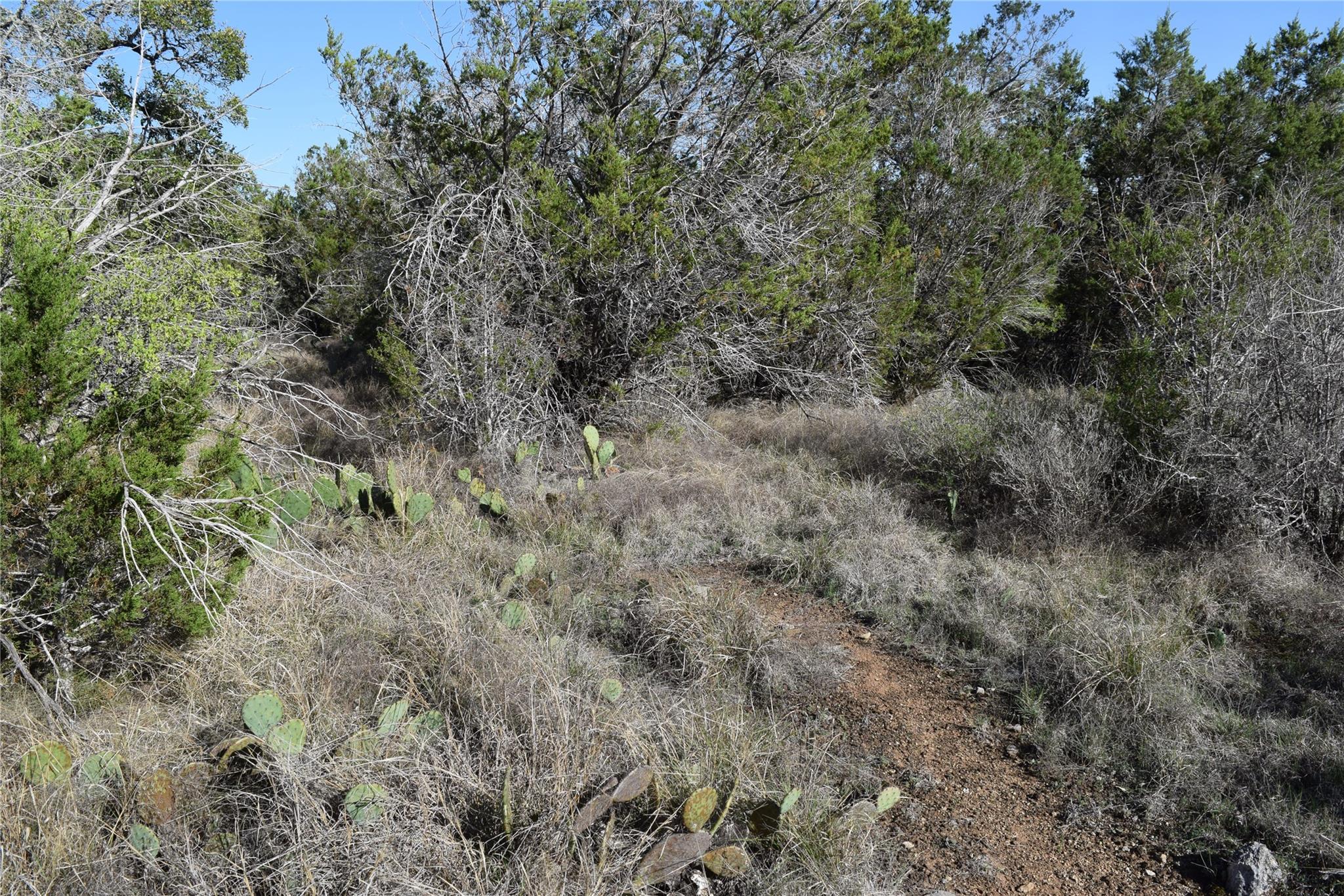 TBD Cheyenne Trl, Wimberley, TX 78676