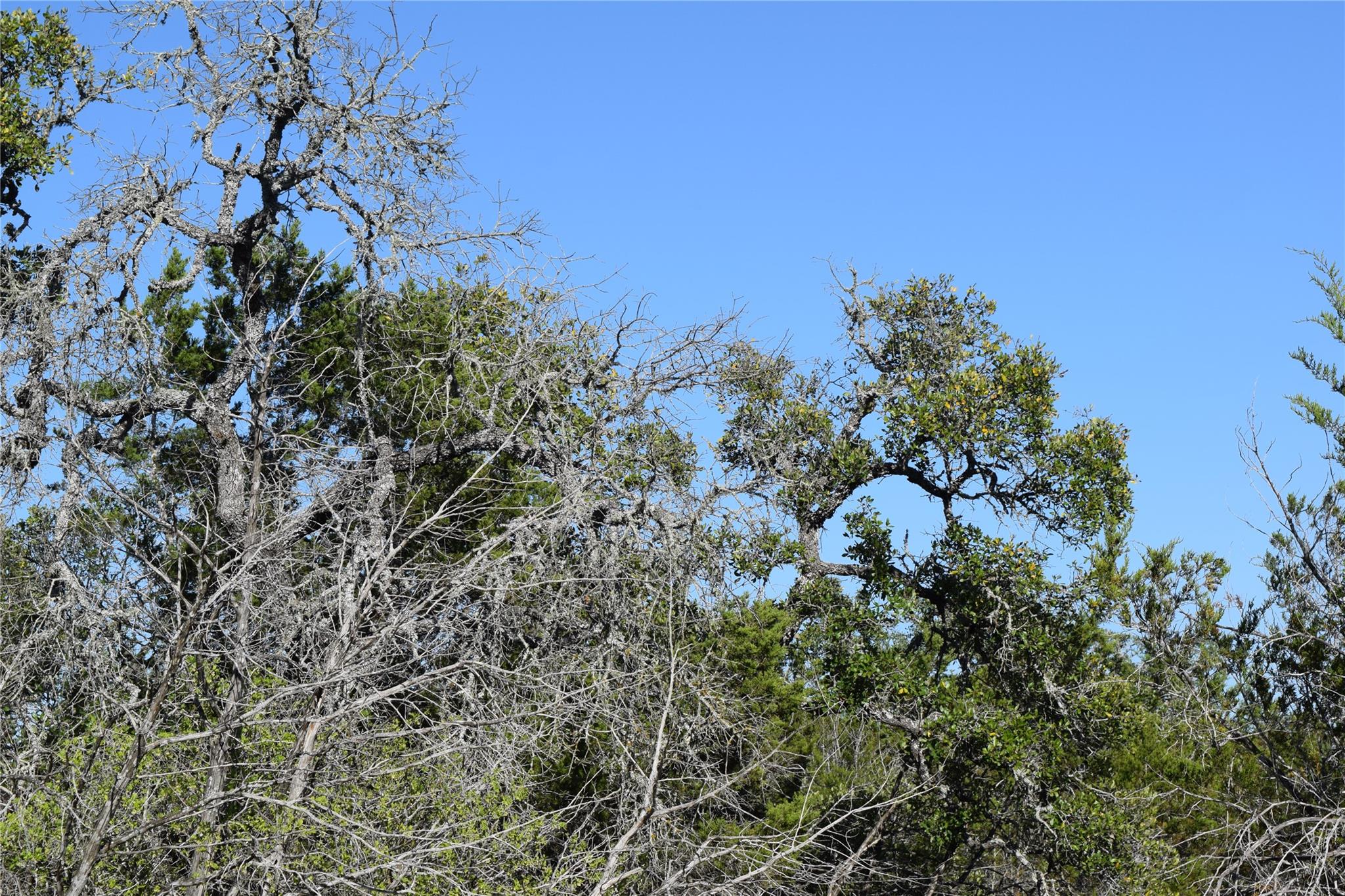 TBD Cheyenne Trl, Wimberley, TX 78676