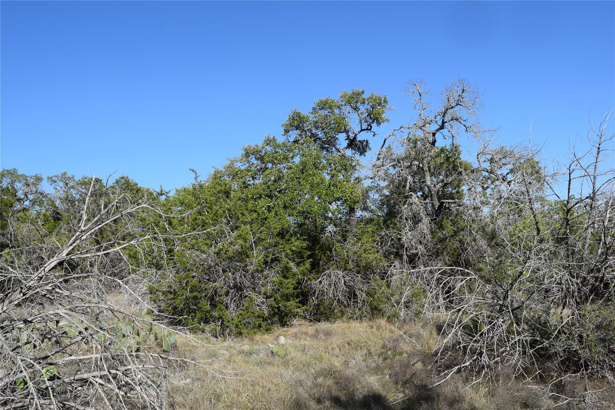 TBD Cheyenne Trl, Wimberley, TX 78676