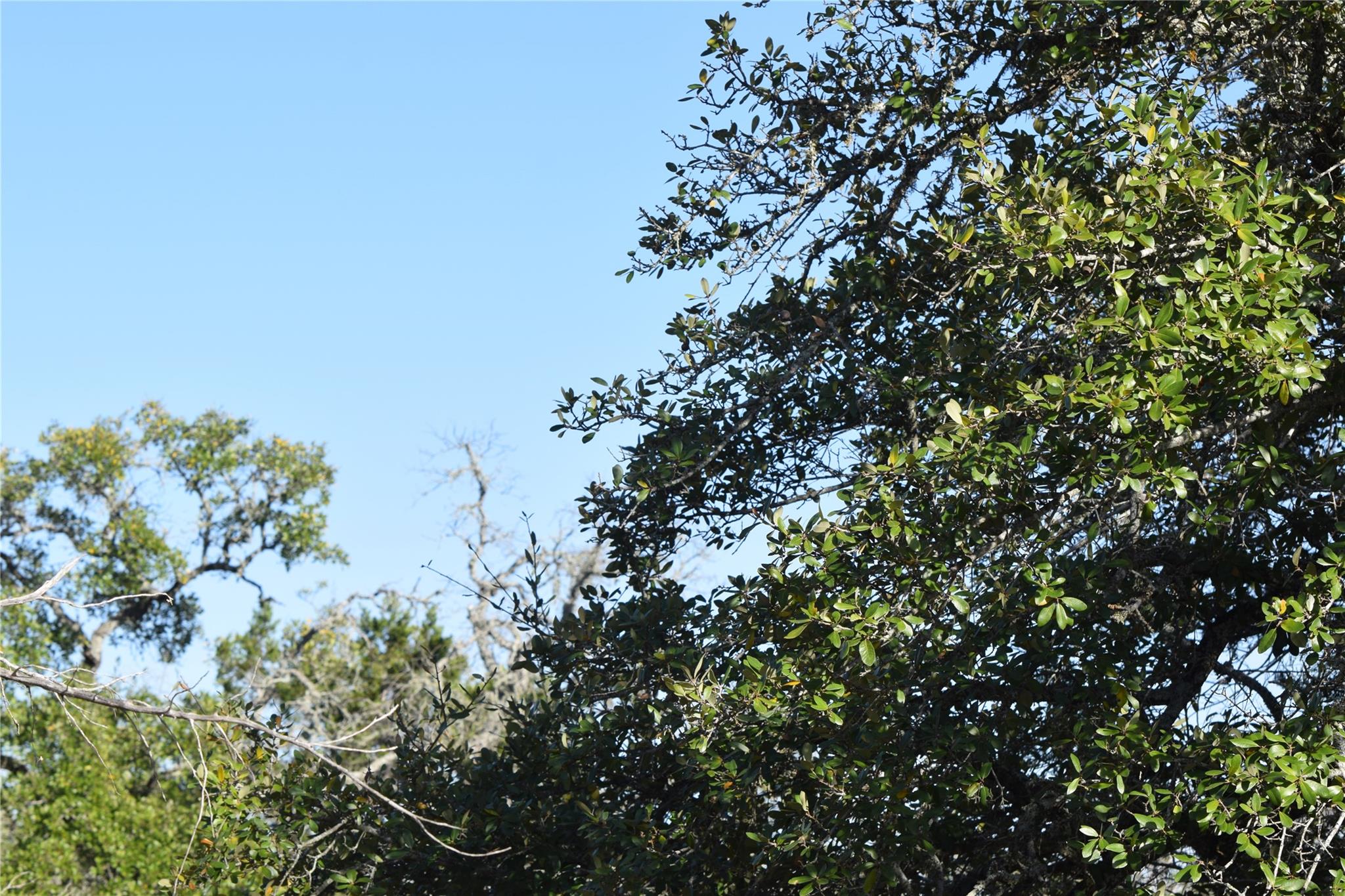 TBD Cheyenne Trl, Wimberley, TX 78676