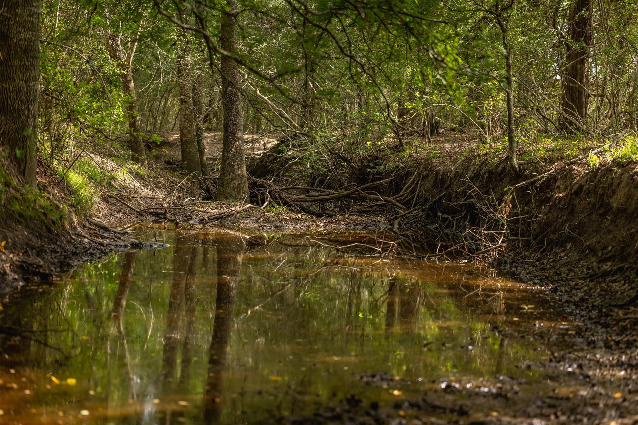 TBD Highway 77 S, Giddings, TX 78942