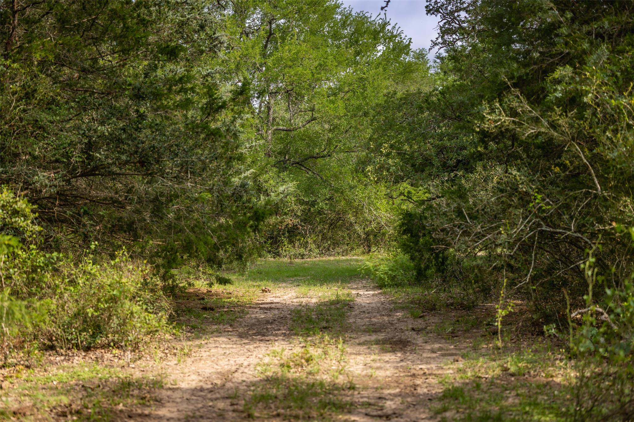 TBD Highway 77 S, Giddings, TX 78942