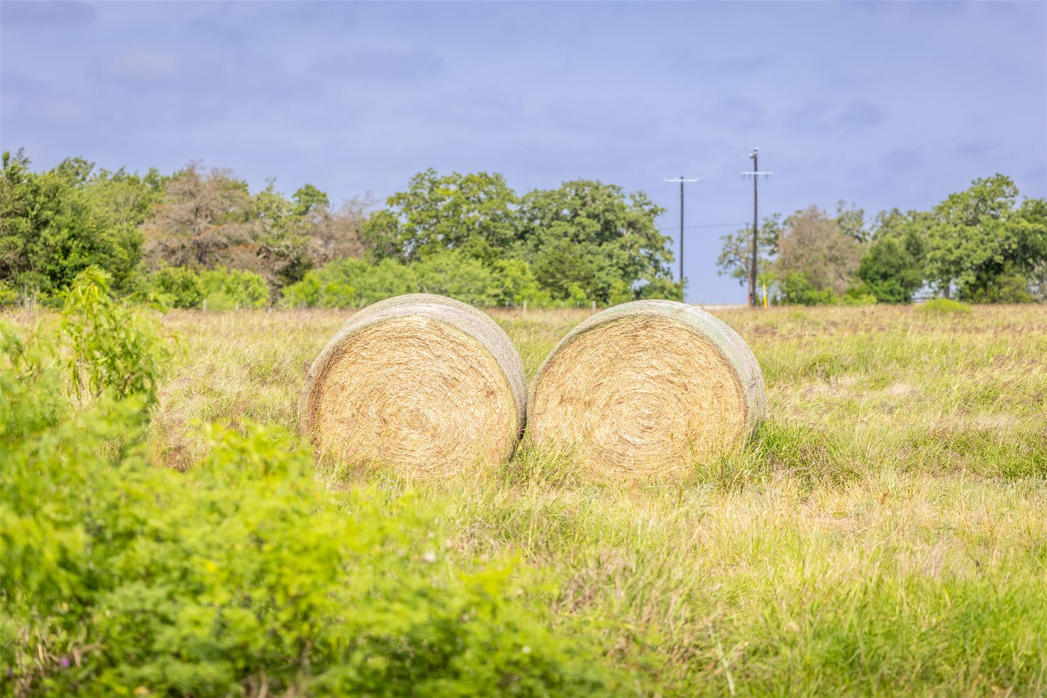 TBD Highway 77 S, Giddings, TX 78942
