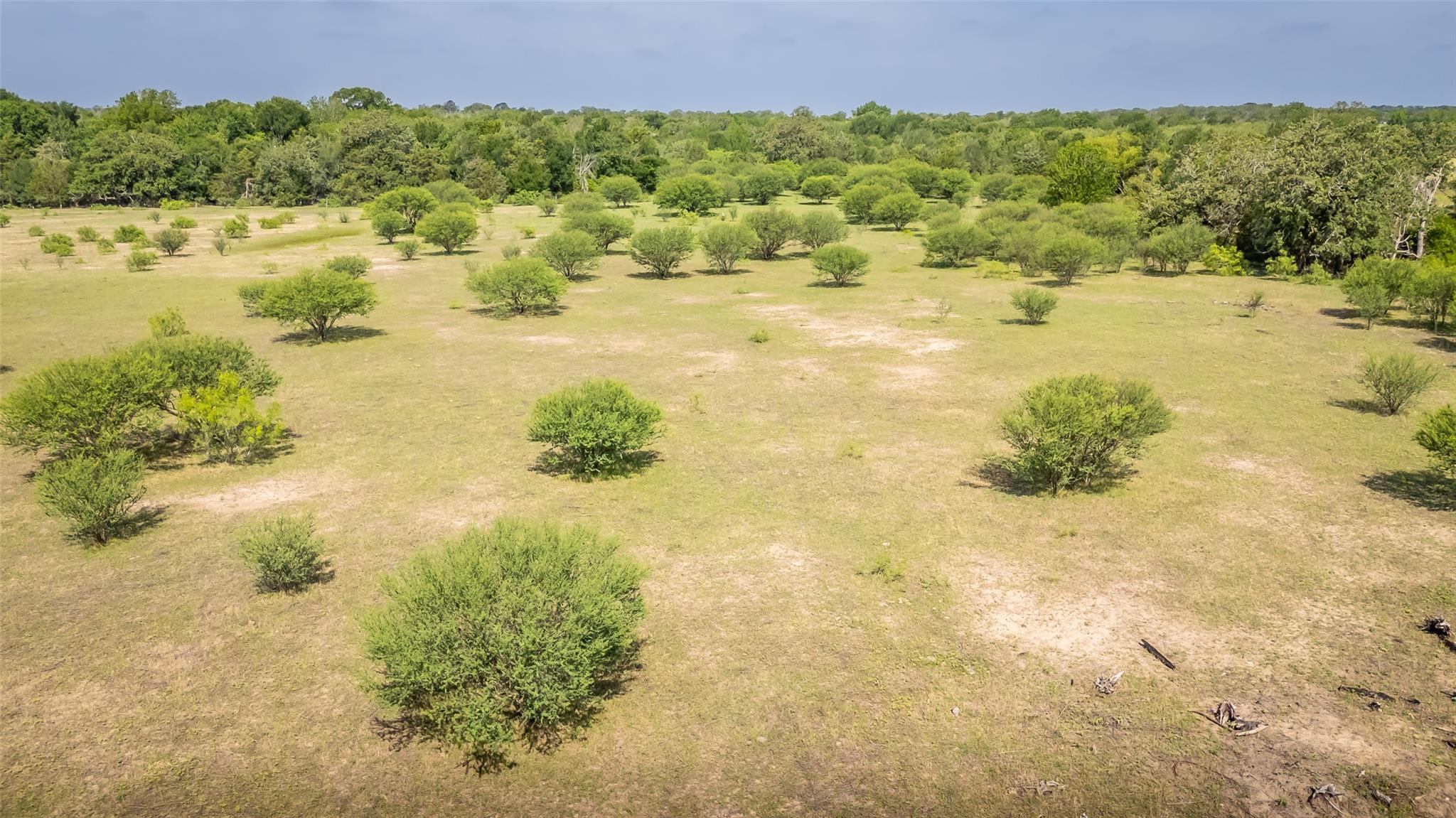 TBD Highway 77 S, Giddings, TX 78942