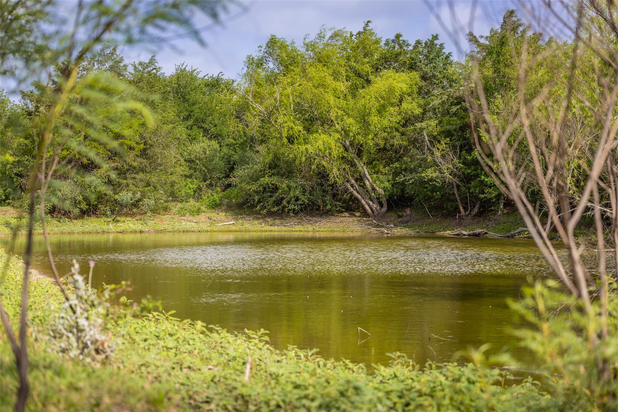 TBD Highway 77 S, Giddings, TX 78942