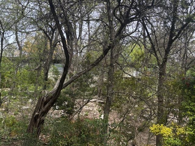 1204 Yaupon Valley Rd, West Lake Hills, TX 78746