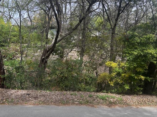 1204 Yaupon Valley Rd, West Lake Hills, TX 78746