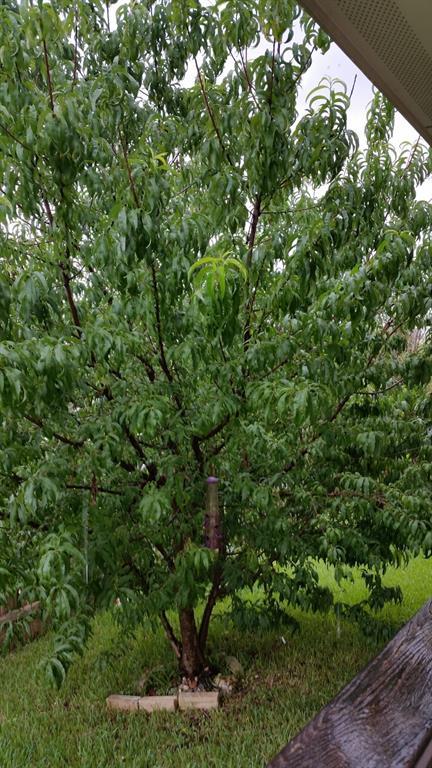 15301 Fernhill Dr, Austin, TX 78717