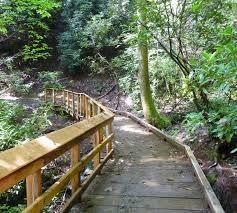 11400 W Parmer Ln # 88, Cedar Park, TX 78613