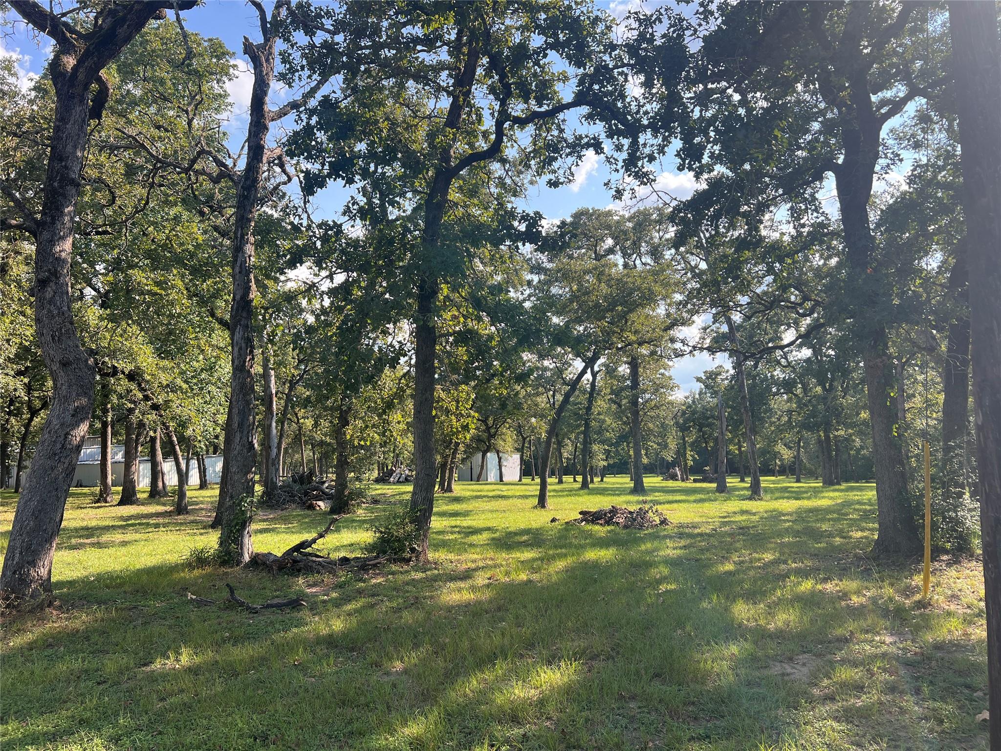 1.921 AC Cardinal Rd, Caldwell, TX 77836