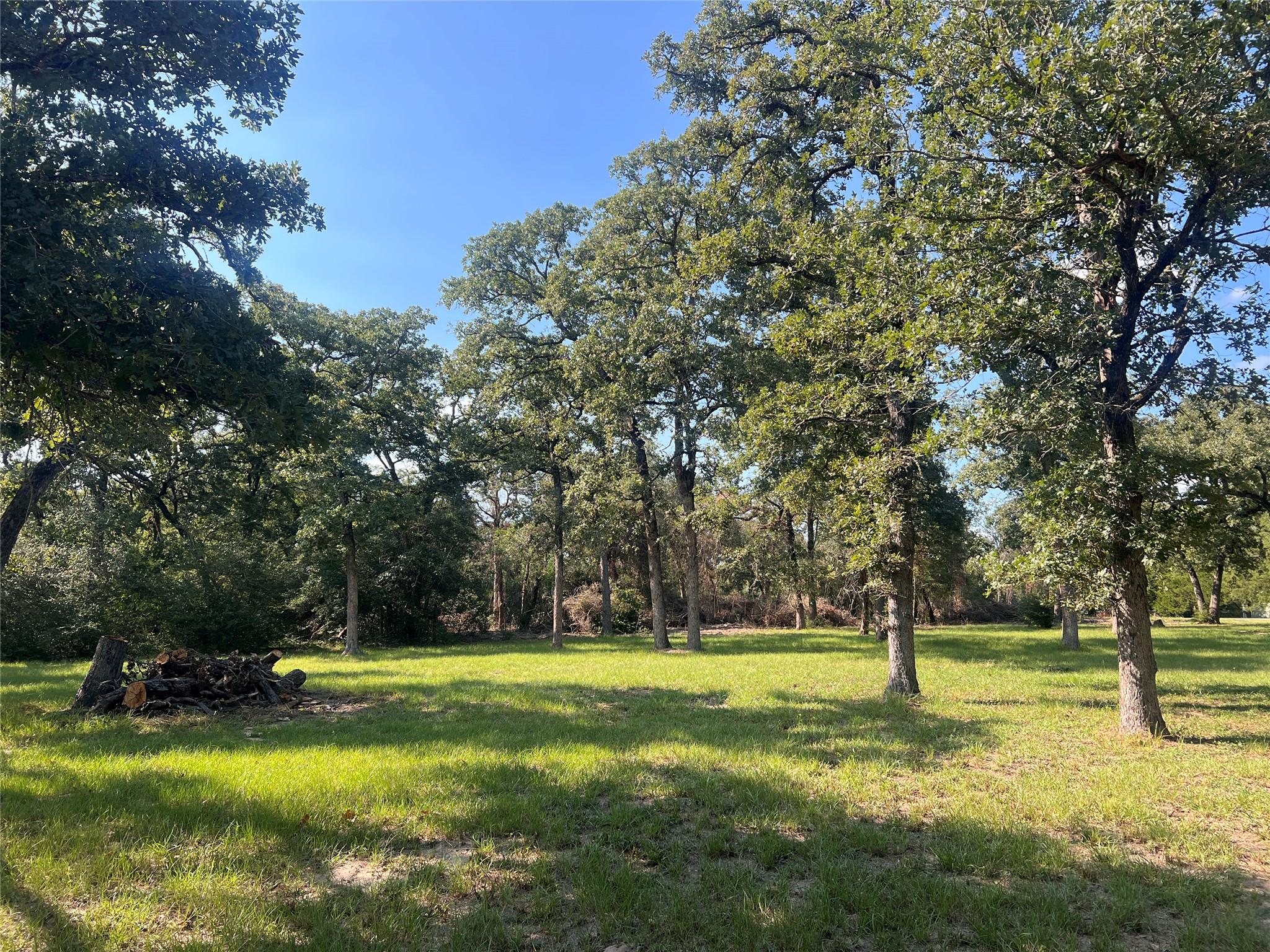1.921 AC Cardinal Rd, Caldwell, TX 77836