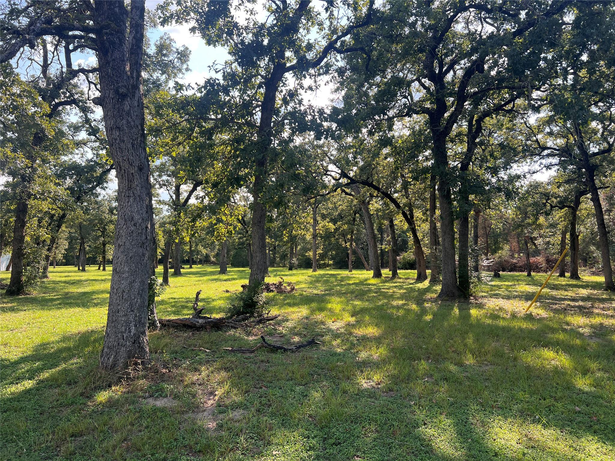 1.921 AC Cardinal Rd, Caldwell, TX 77836